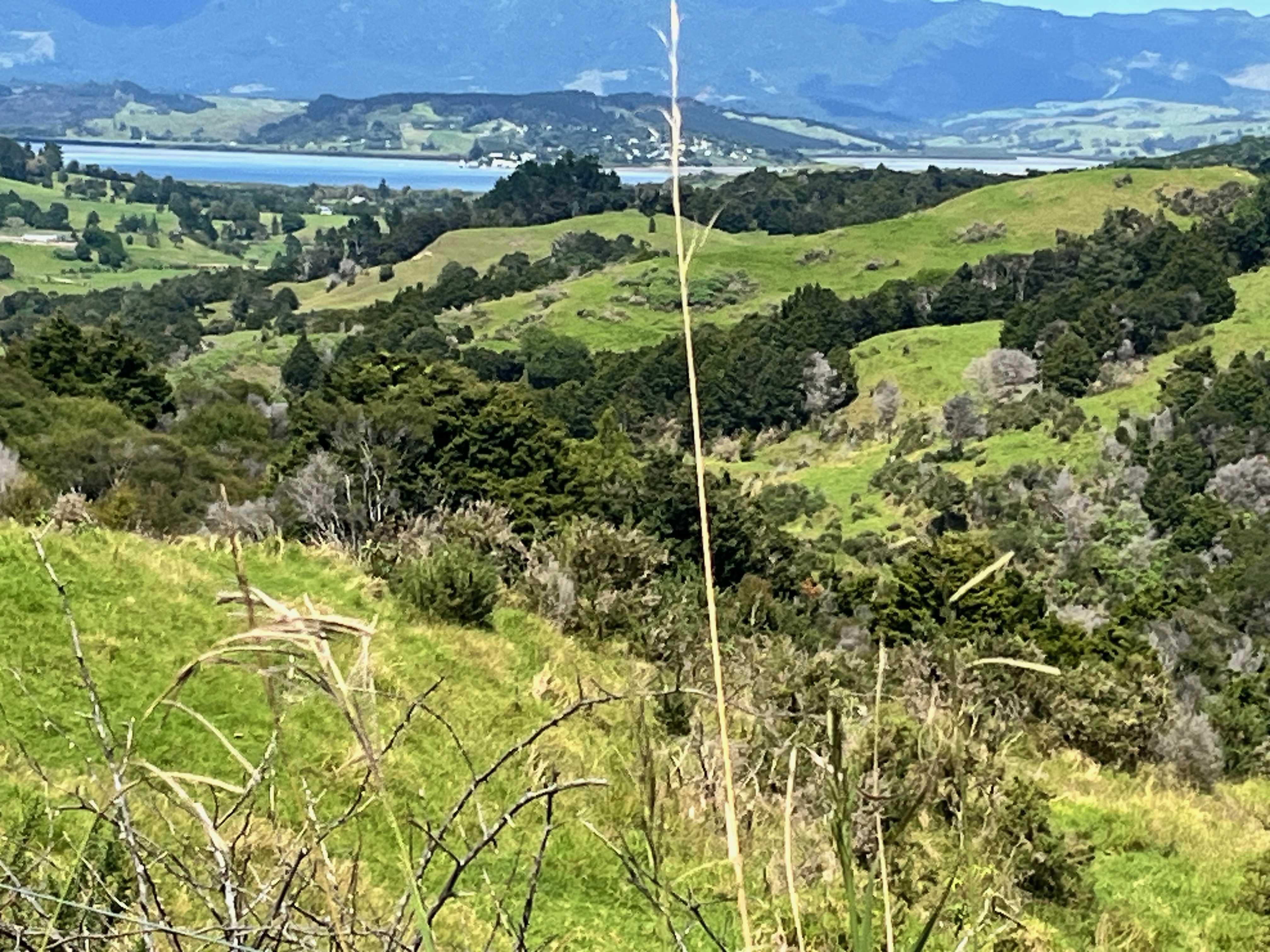 Stage 2 — Ahipara To Dargaville