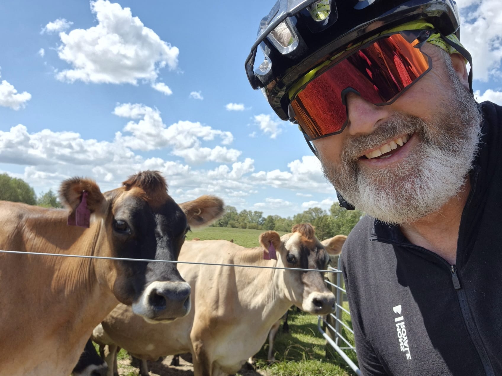 Stage 4 — Auckland To Mangakino
