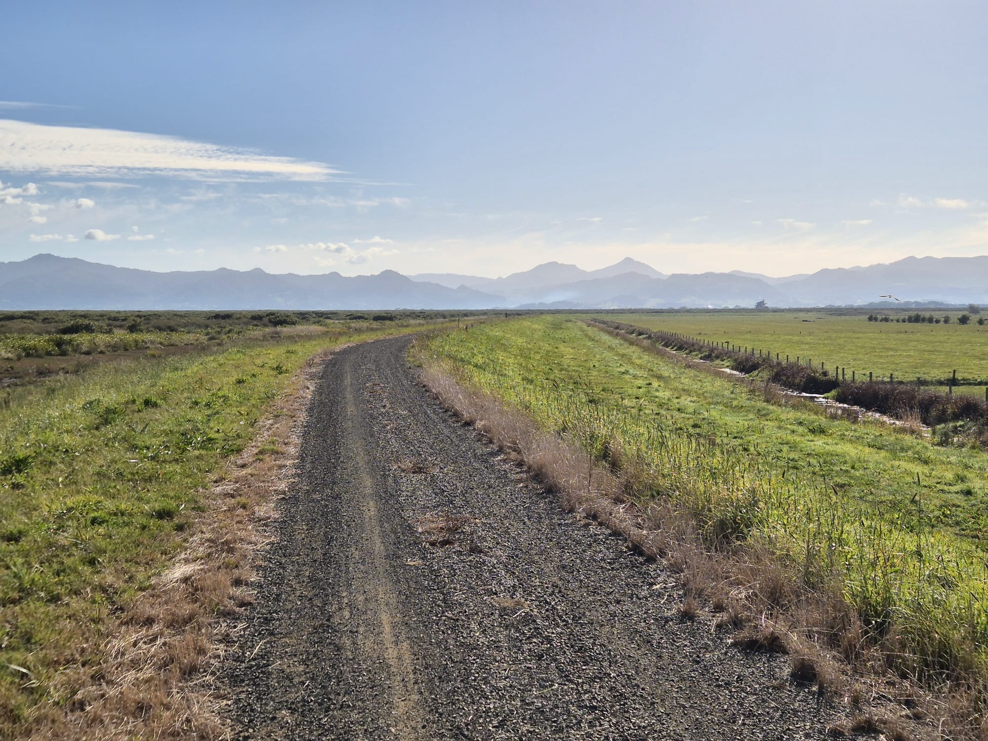 Stage 4 — Auckland To Mangakino