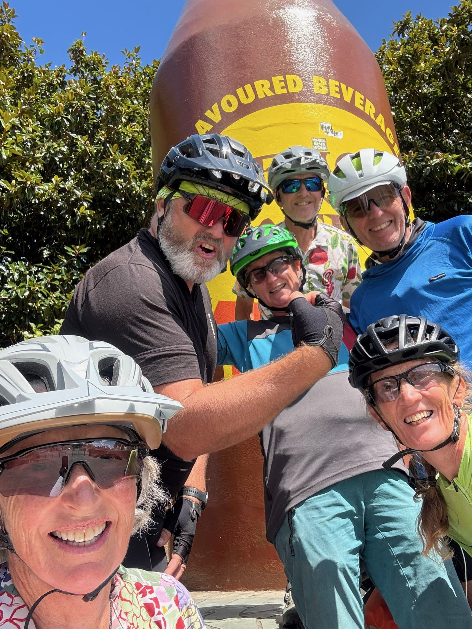 Stage 4 — Auckland To Mangakino
