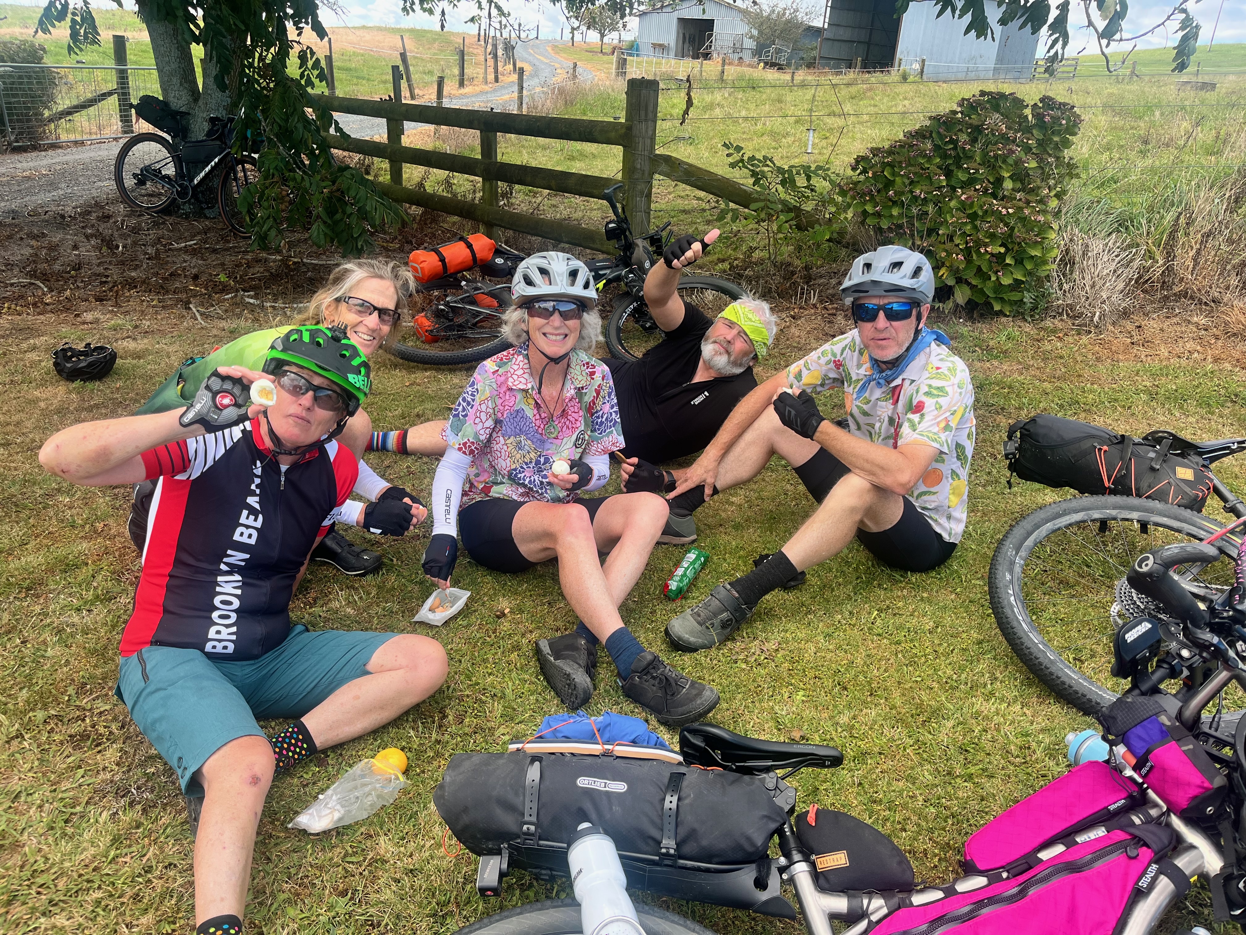 Stage 4 — Auckland To Mangakino