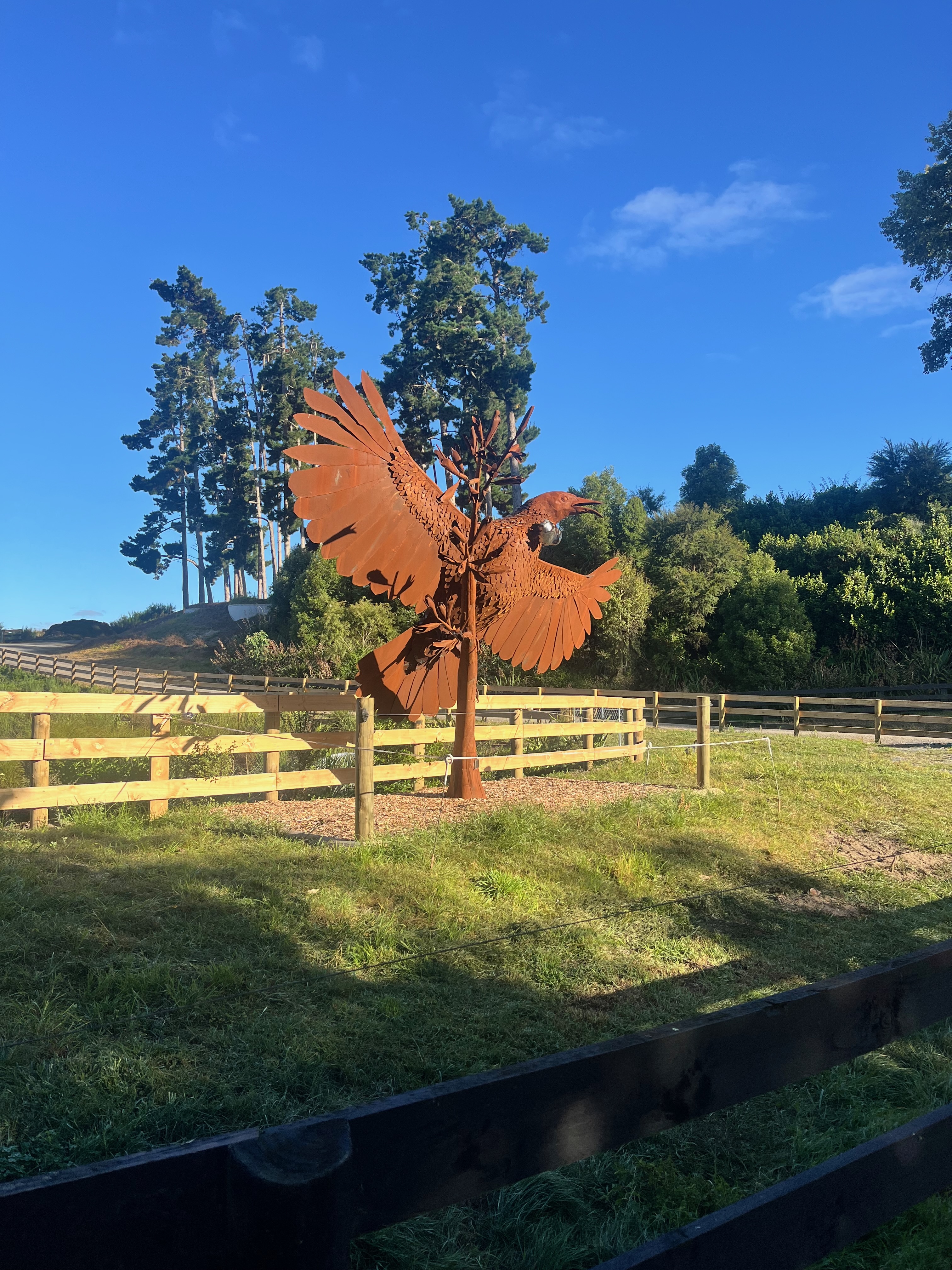 Stage 4 — Auckland To Mangakino