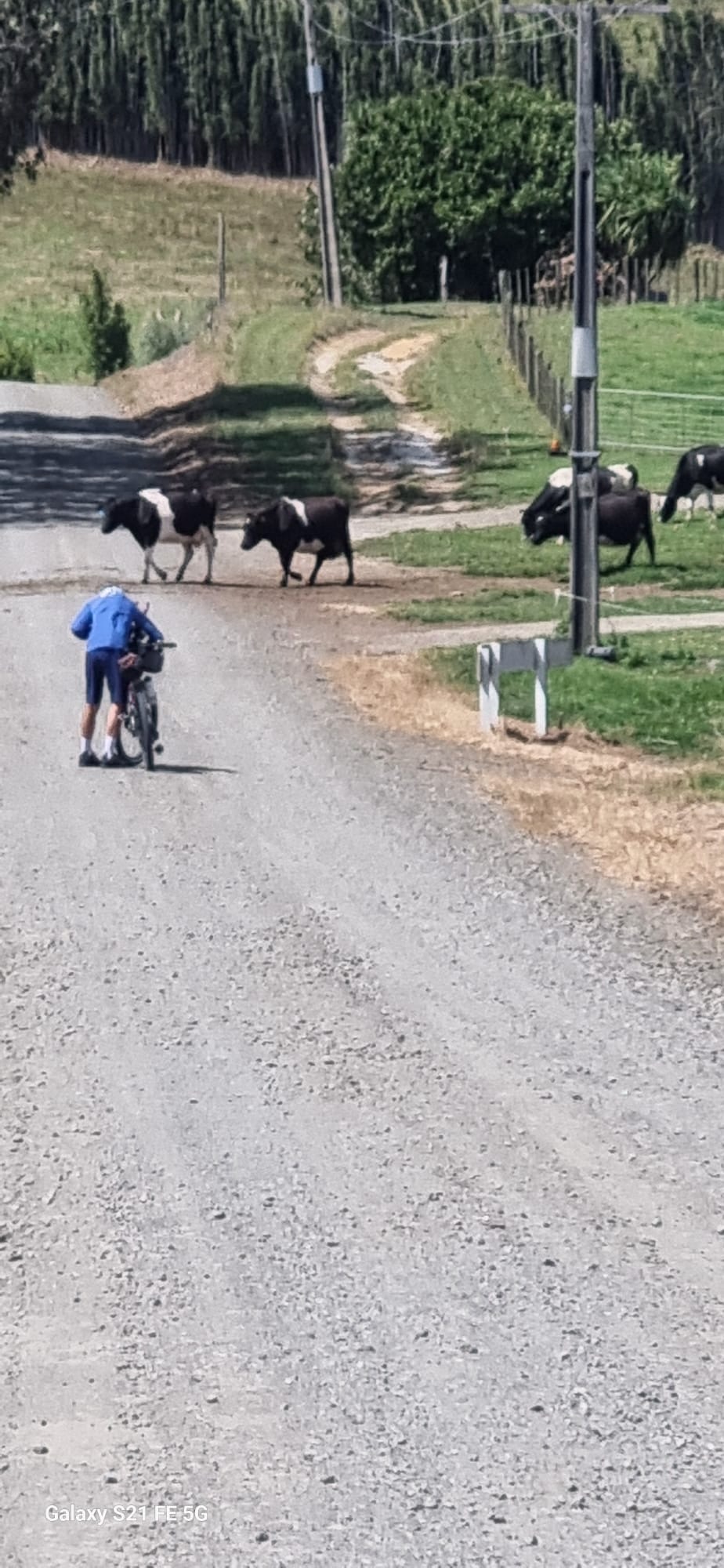 Stage 3 — Dargaville To Auckland