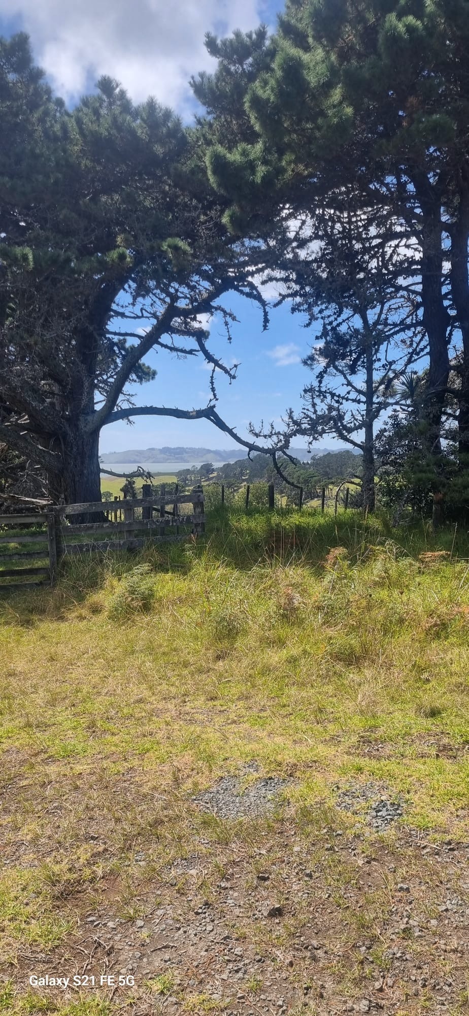 Stage 3 — Dargaville To Auckland
