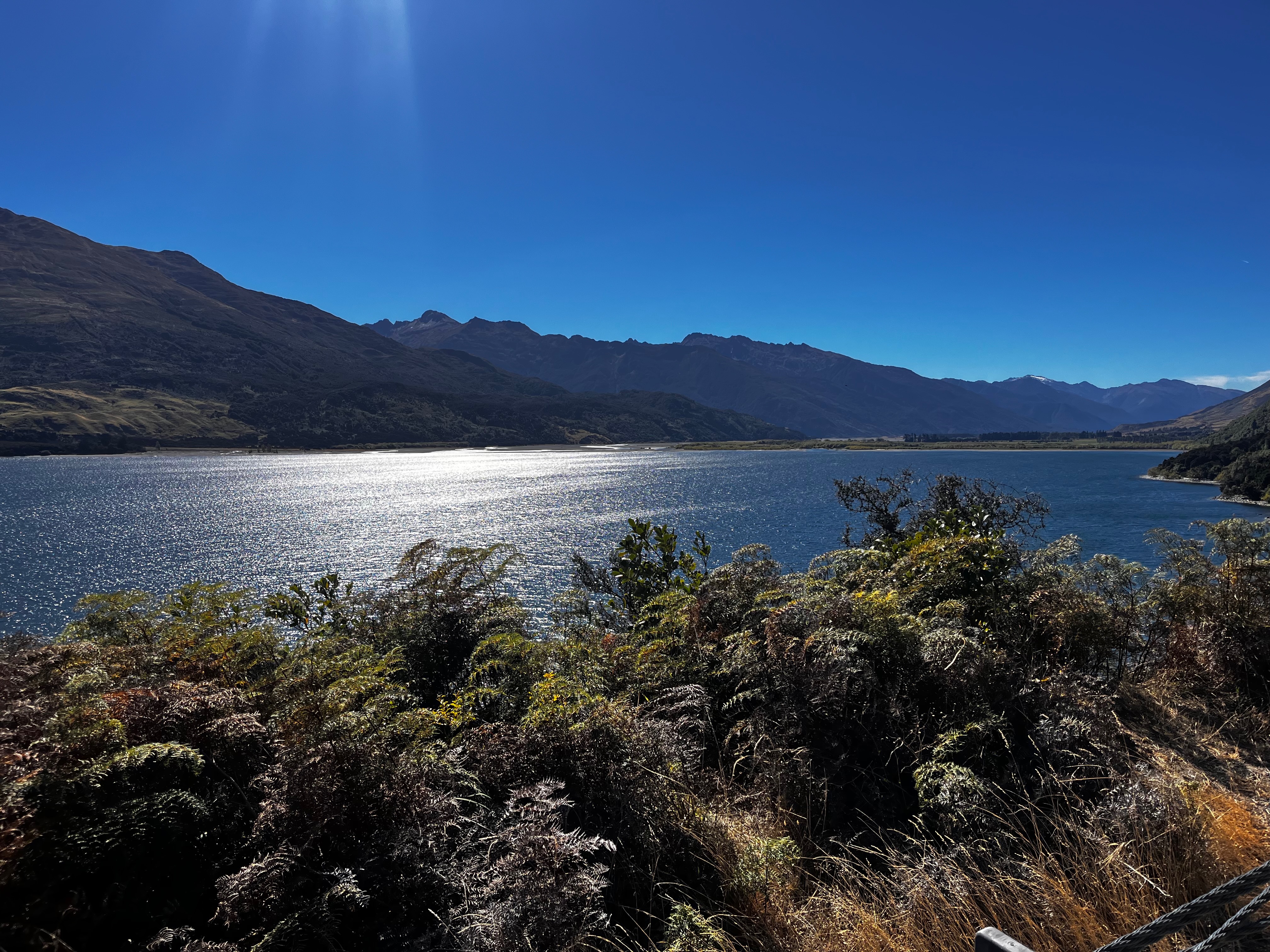 Stage 14 — Fox Glacier To Lake Hawea