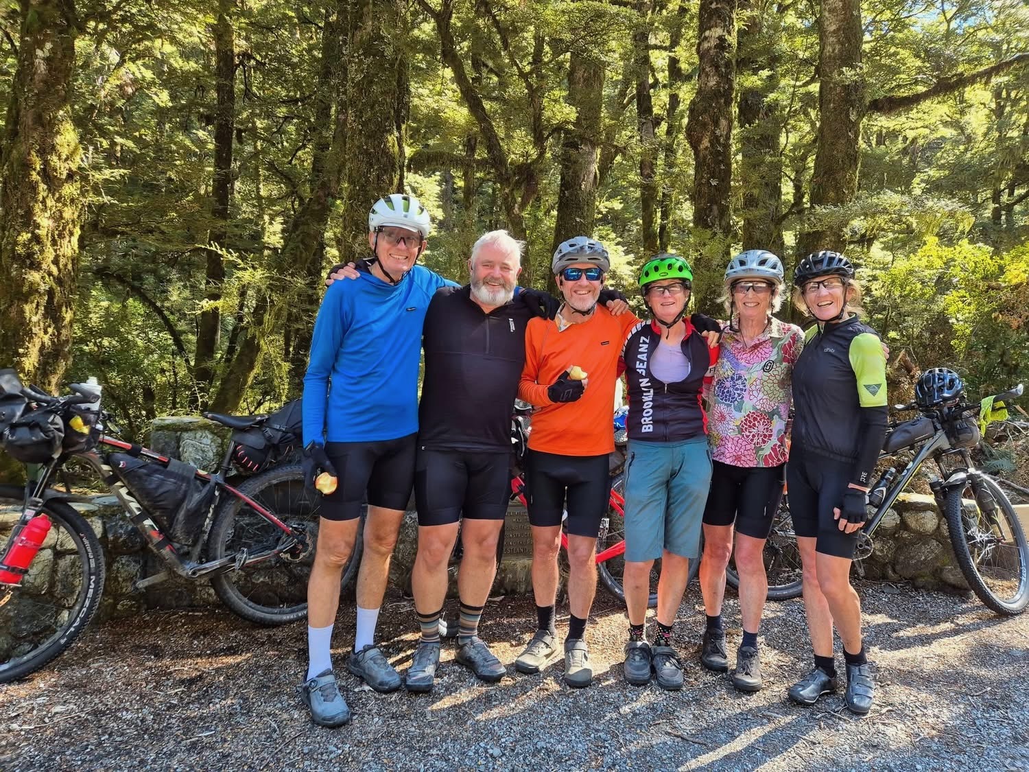 Stage 14 — Fox Glacier To Lake Hawea