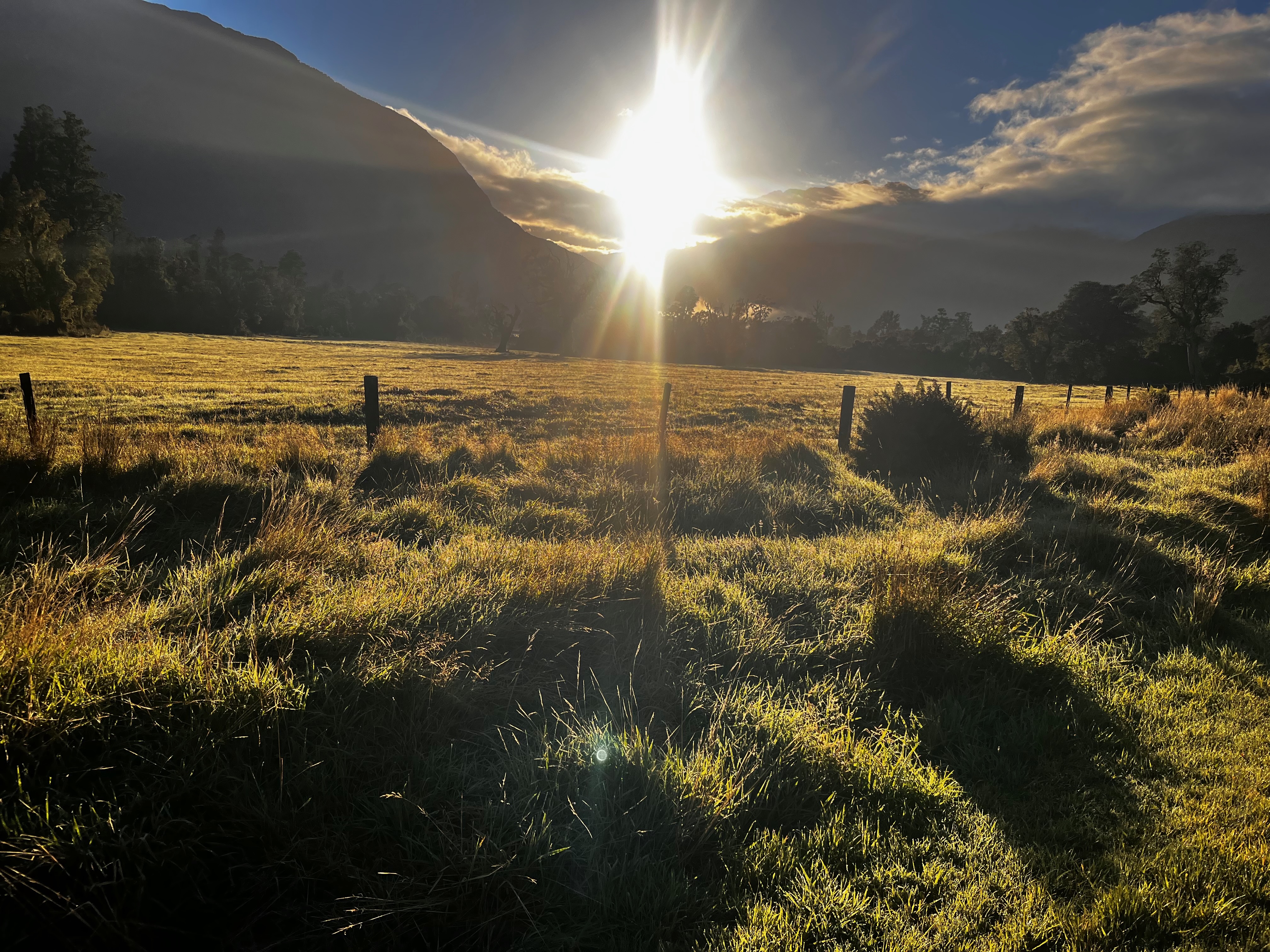 Stage 14 — Fox Glacier To Lake Hawea