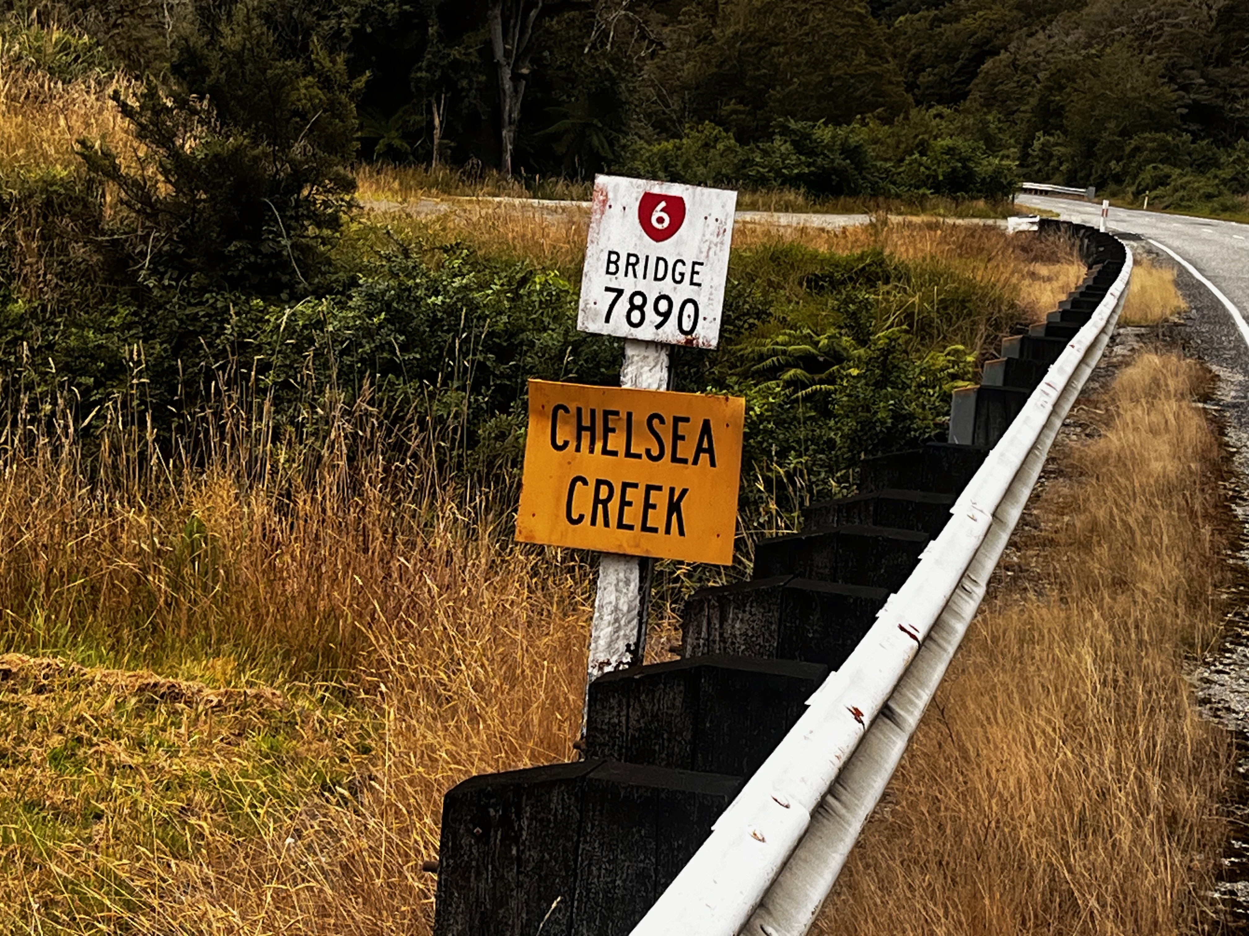 Stage 14 — Fox Glacier To Lake Hawea