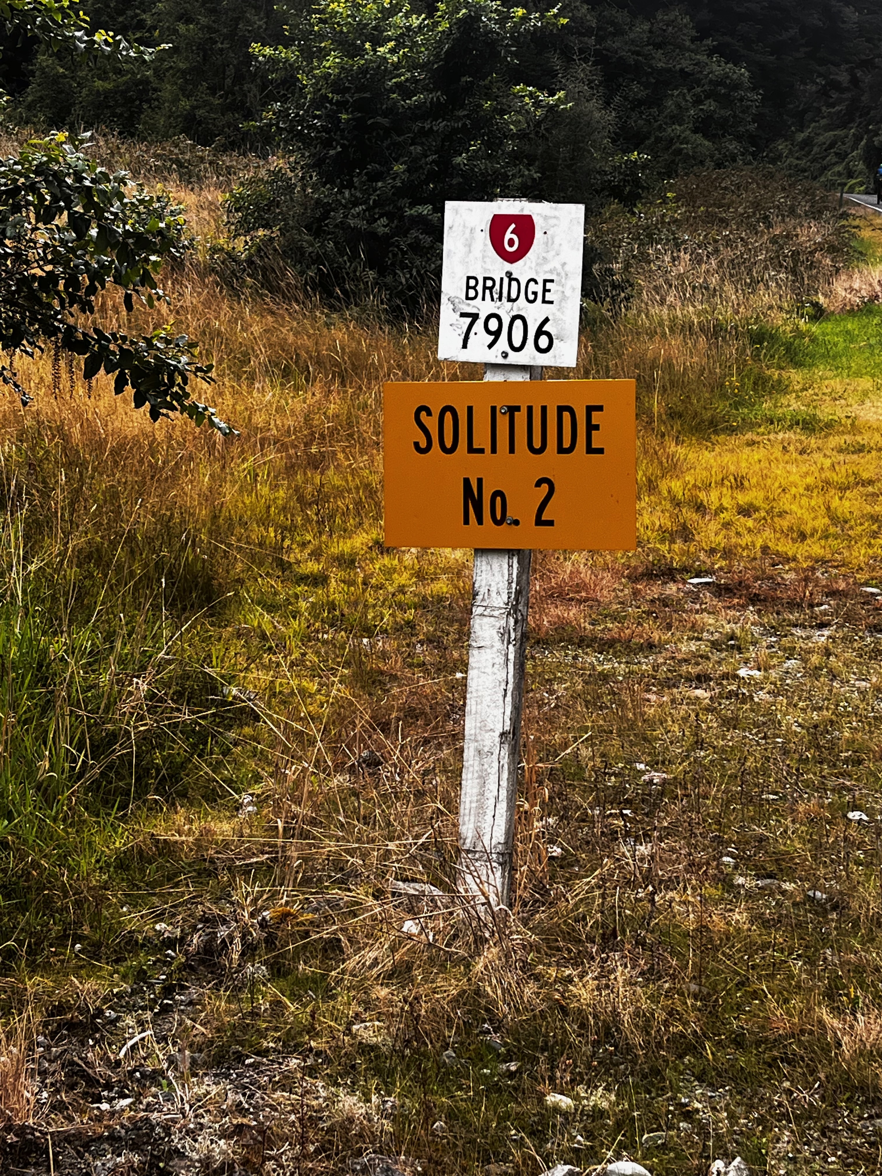 Stage 14 — Fox Glacier To Lake Hawea