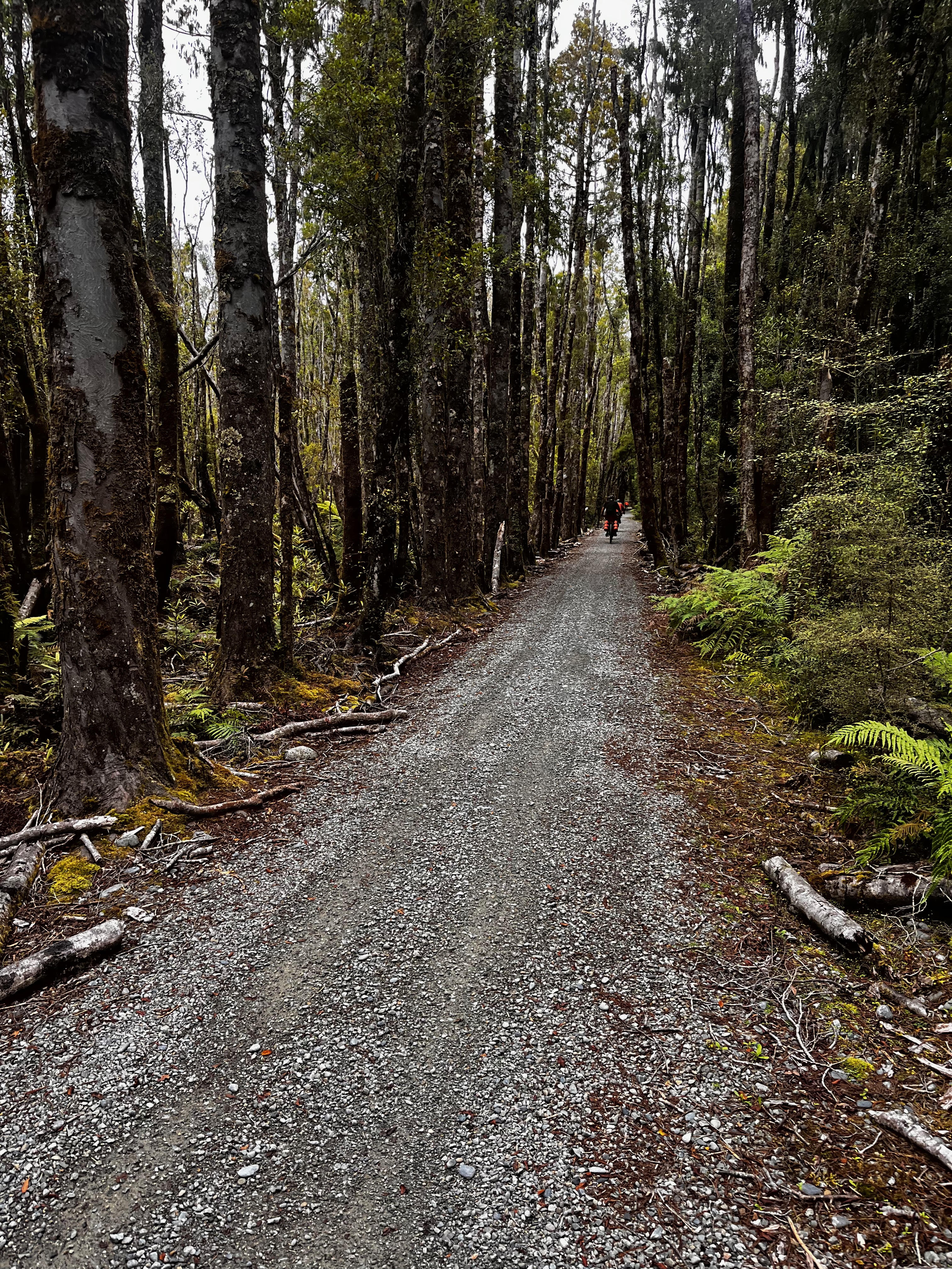 Stage 12 — Greymouth To Ross