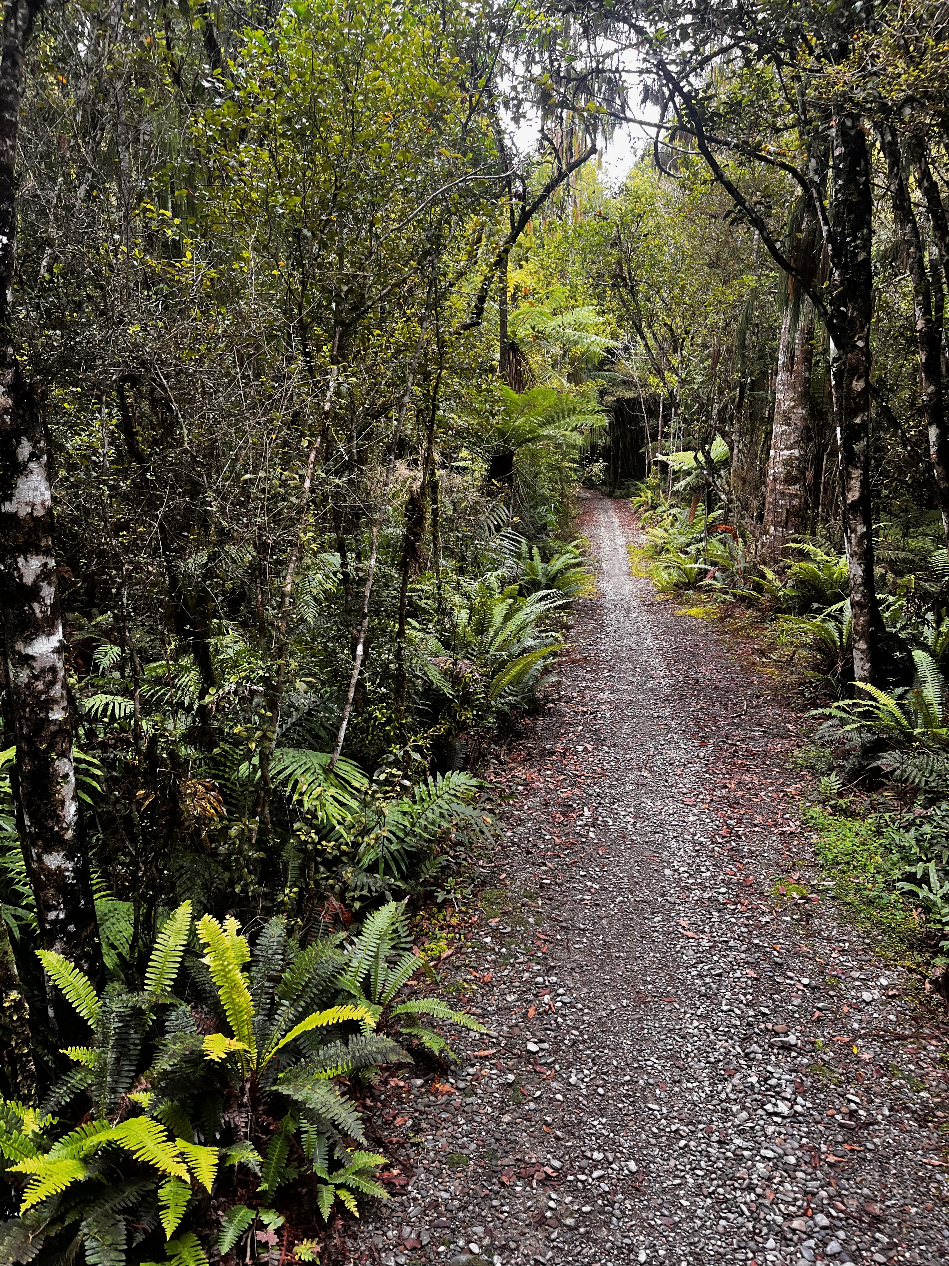 Stage 12 — Greymouth To Ross