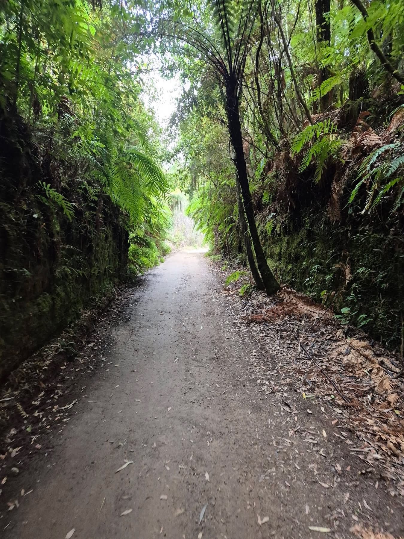 Stage 7 — Hunterville To Wellington