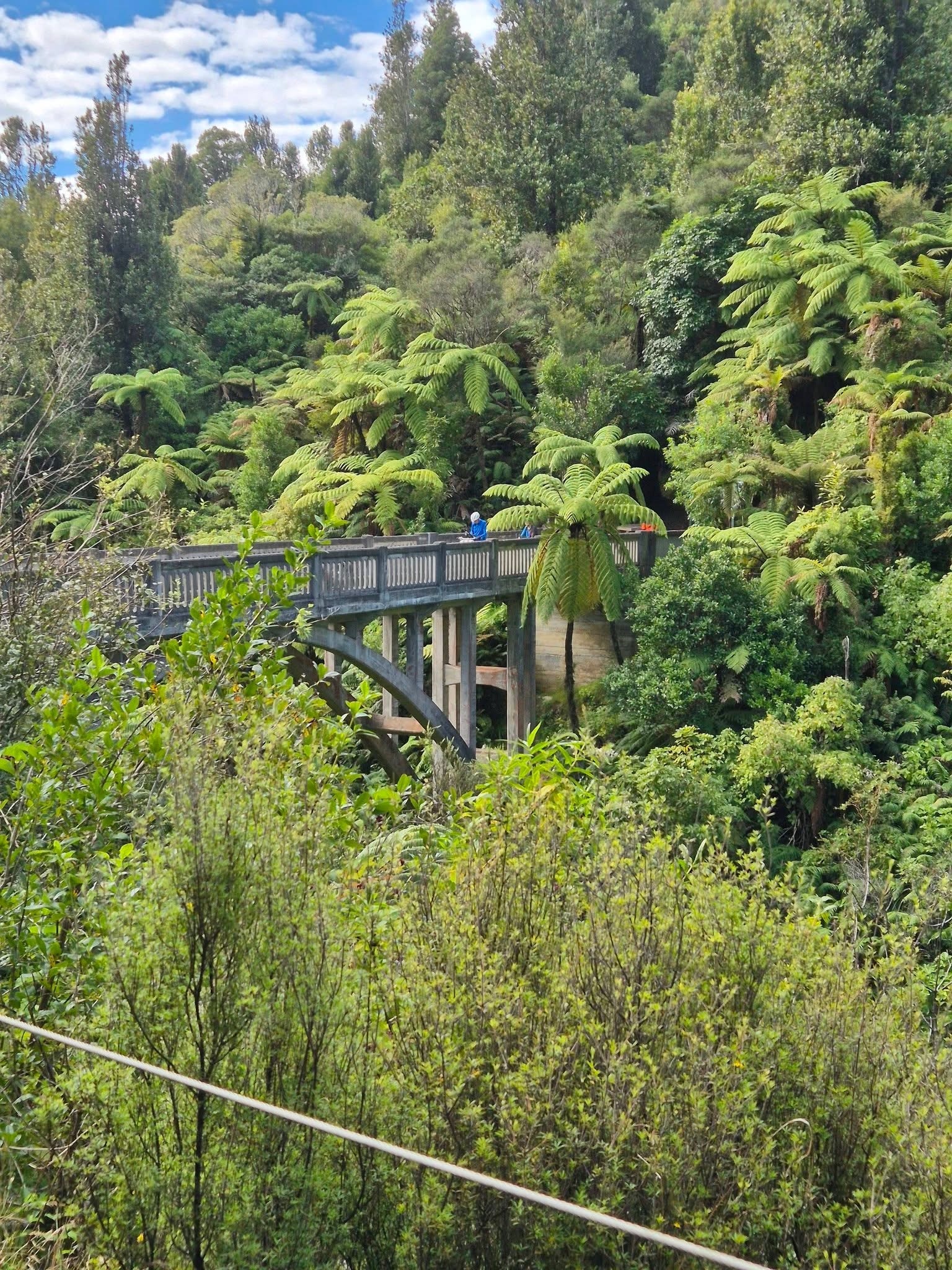 Stage 7 — Hunterville To Wellington