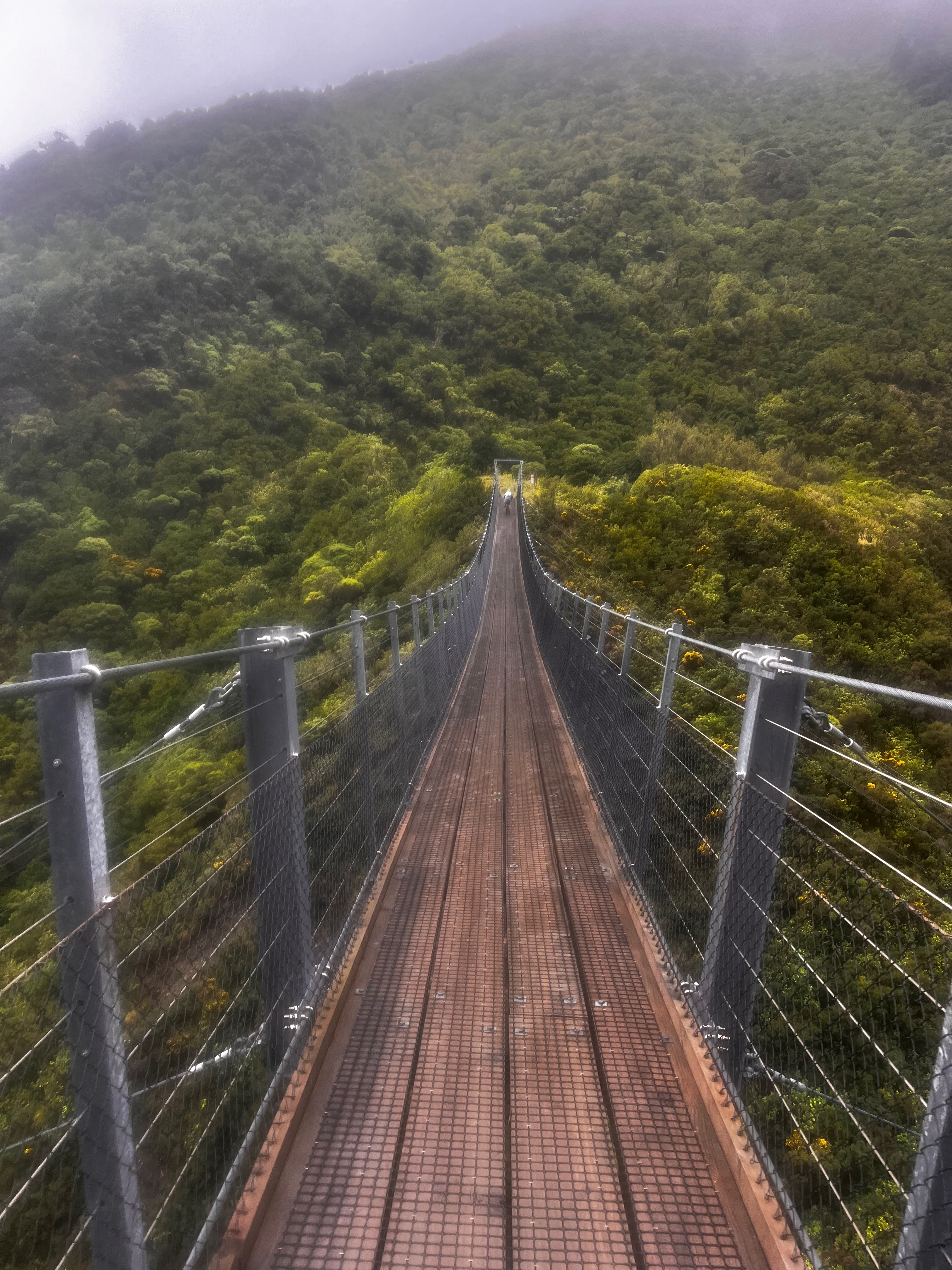 Stage 7 — Hunterville To Wellington