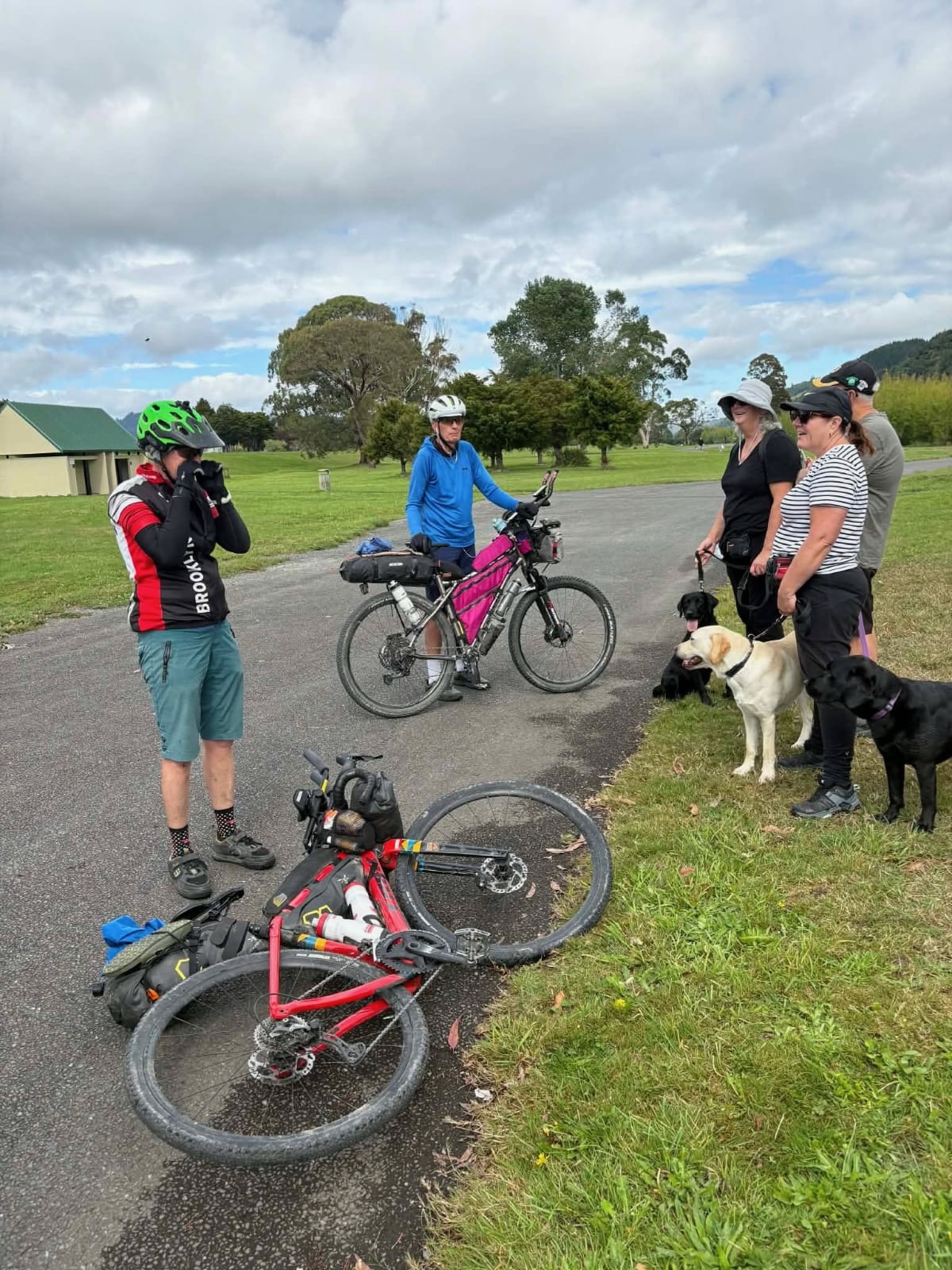 Stage 7 — Hunterville To Wellington