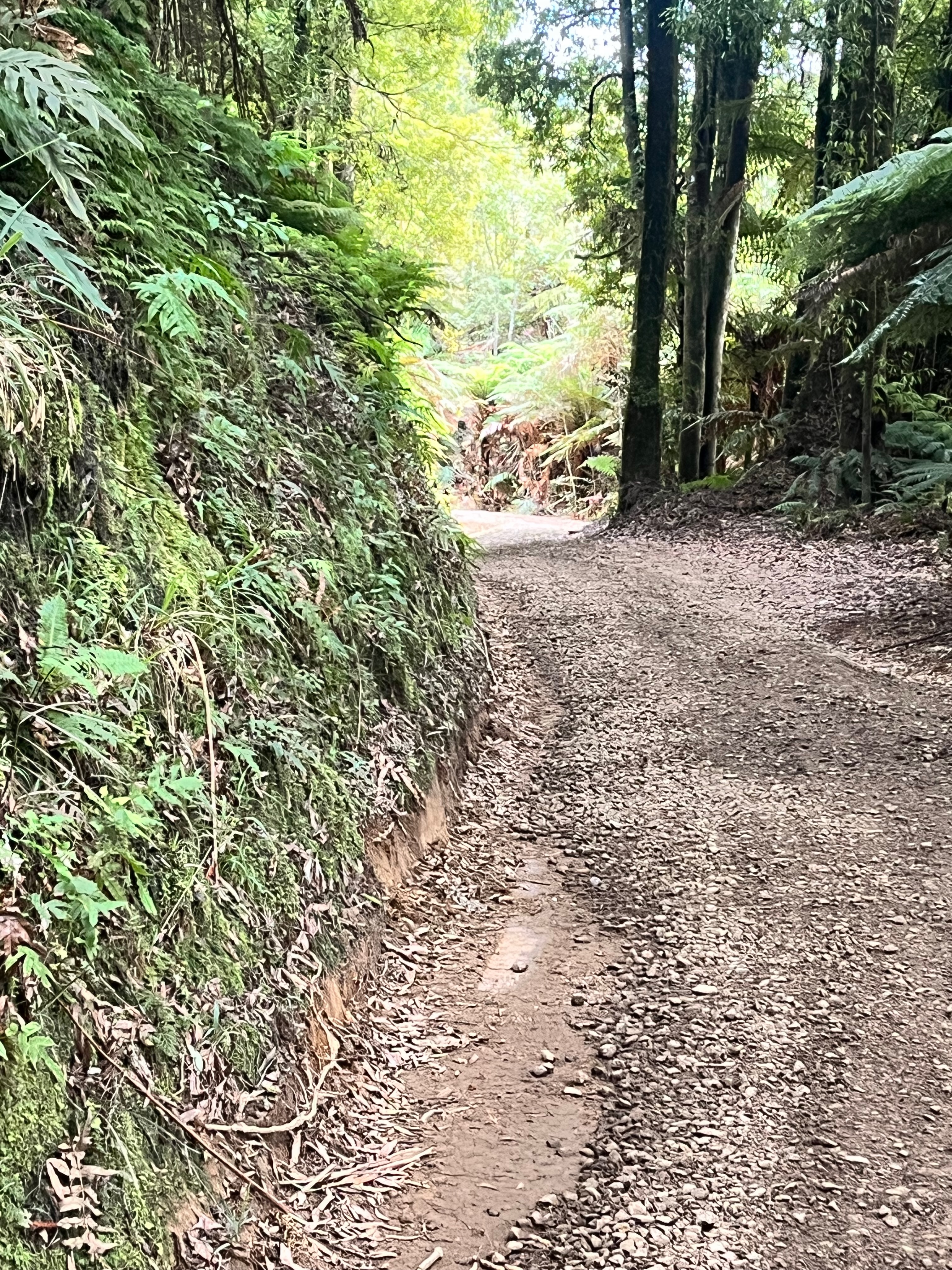 Stage 5 — Mangakino To Owhango