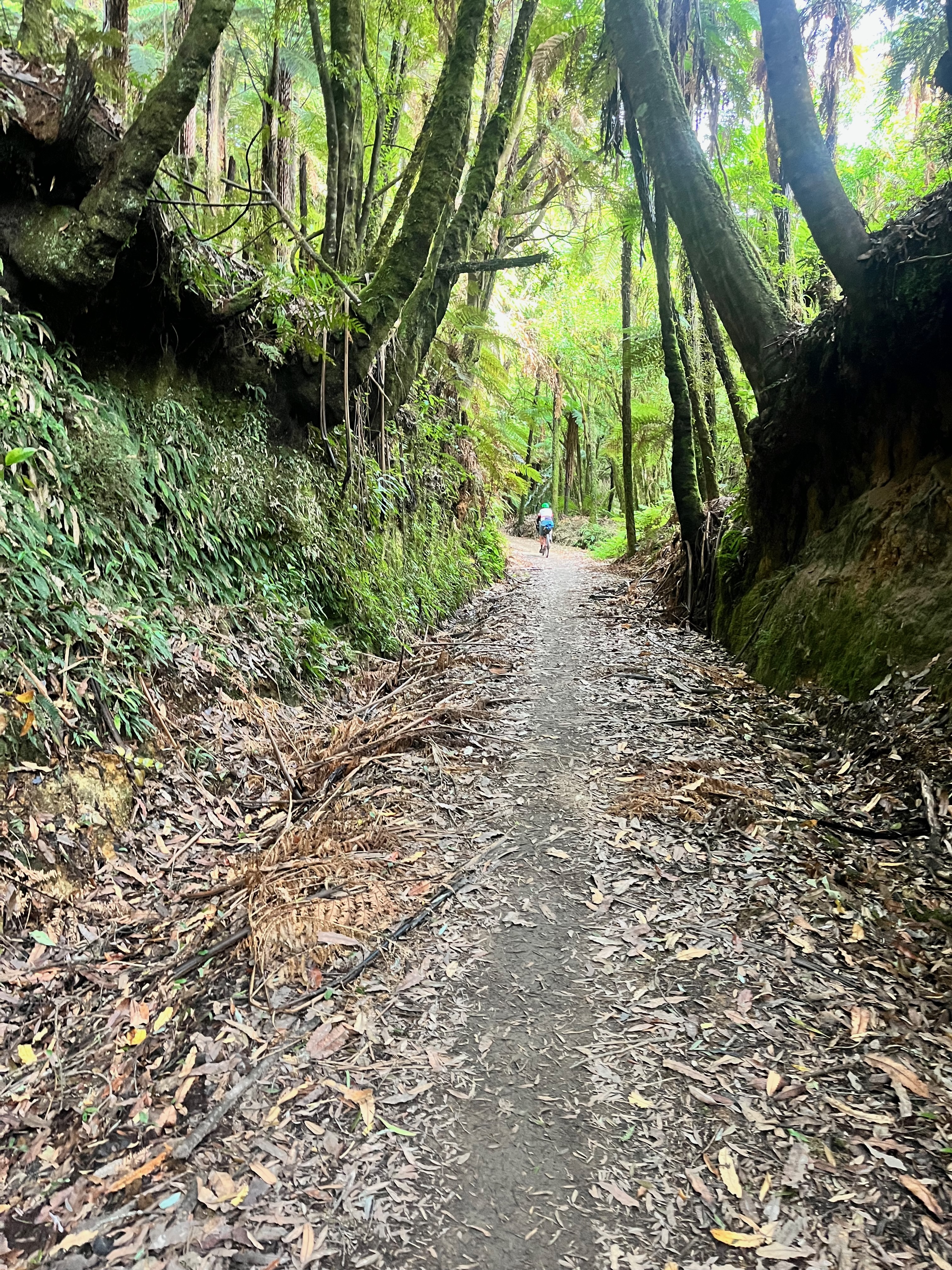 Stage 5 — Mangakino To Owhango