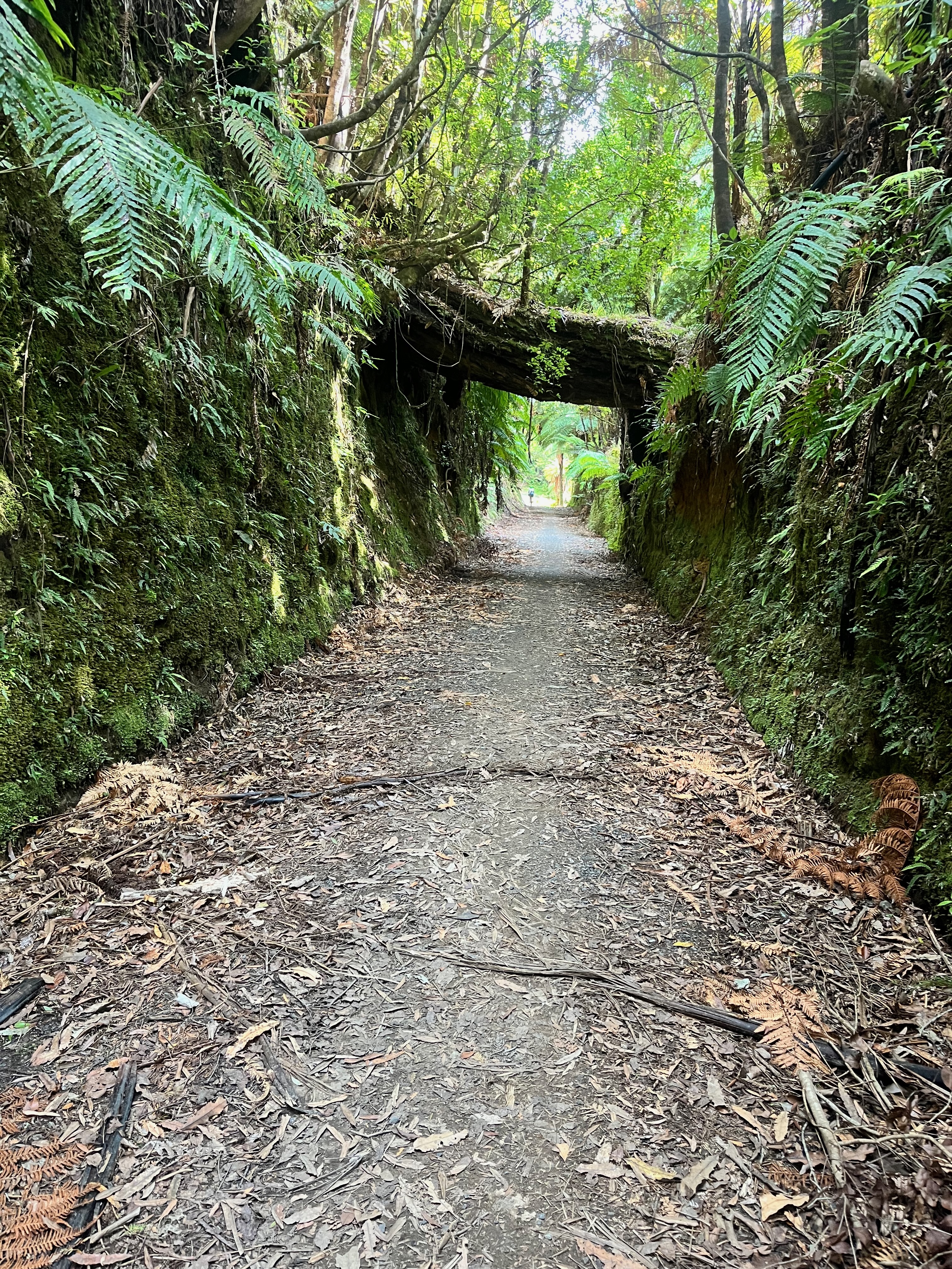 Stage 5 — Mangakino To Owhango