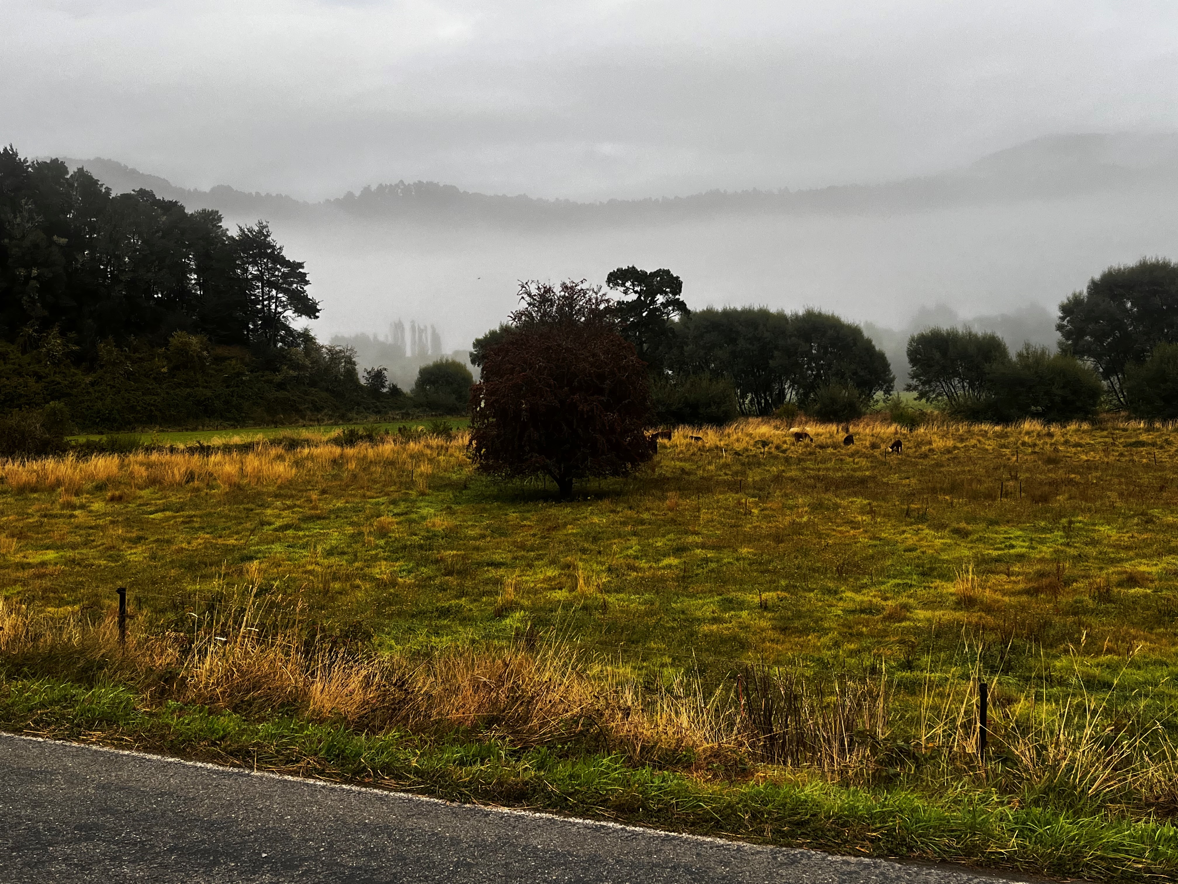 Stage 11 — Murchison To Greymouth