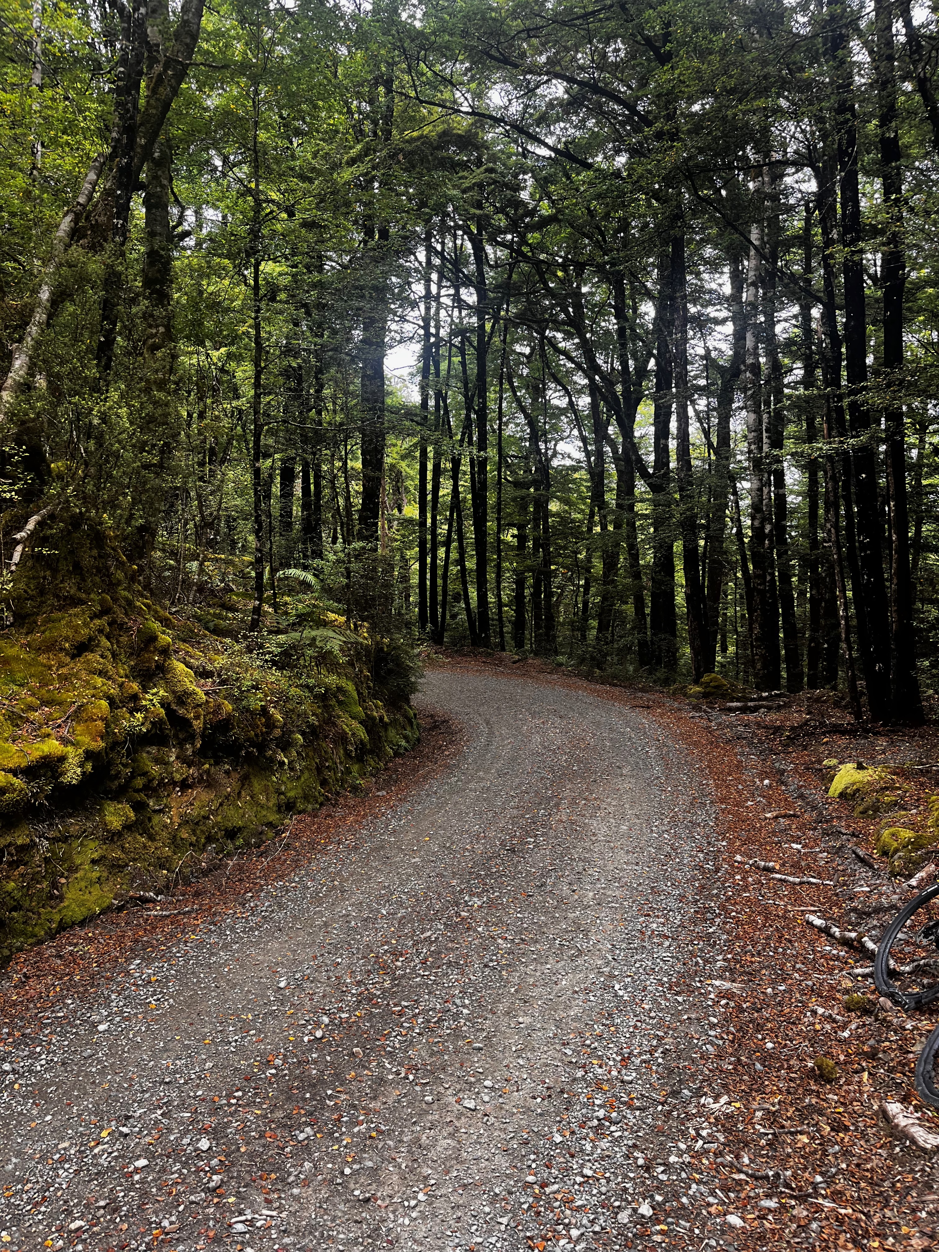 Stage 11 — Murchison To Greymouth