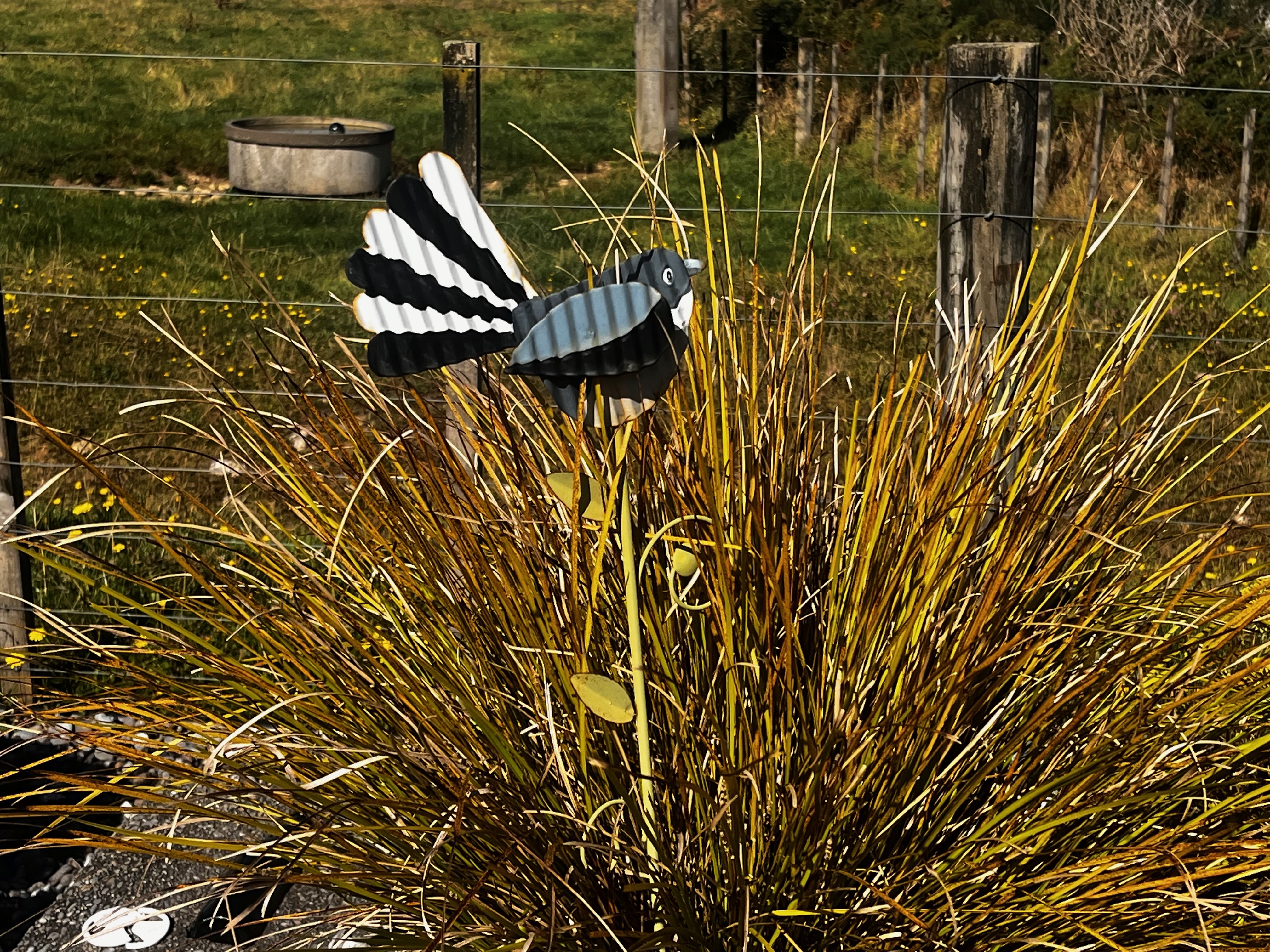 Stage 11 — Murchison To Greymouth
