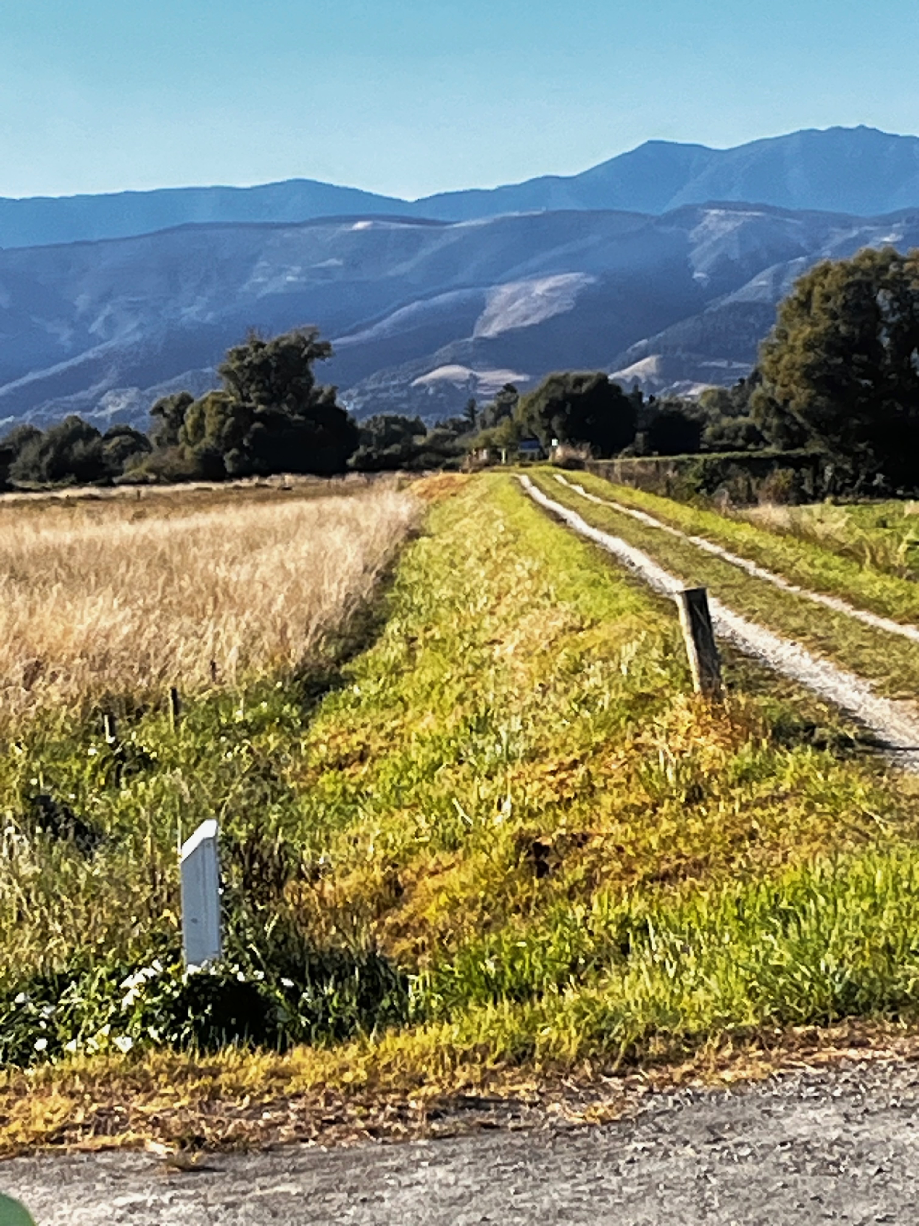 Stage 10 — Nelson To Murchison