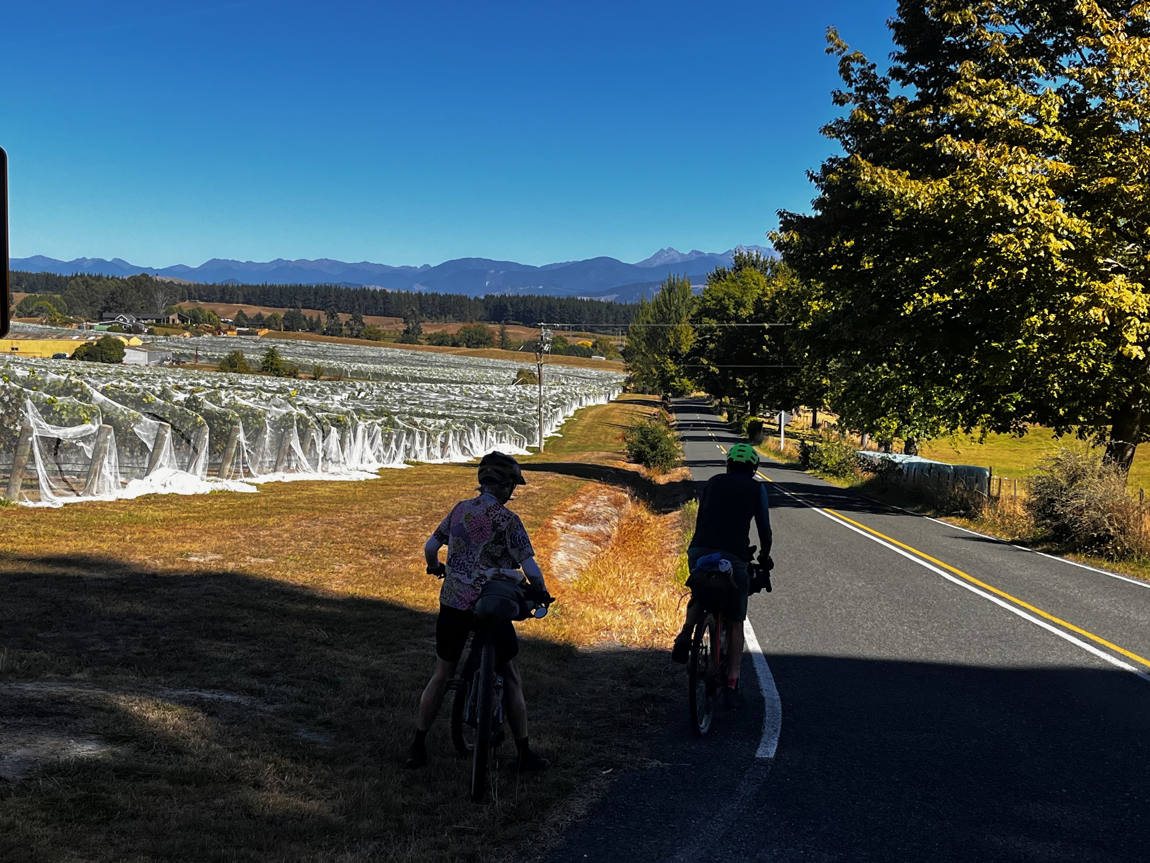 Stage 10 — Nelson To Murchison