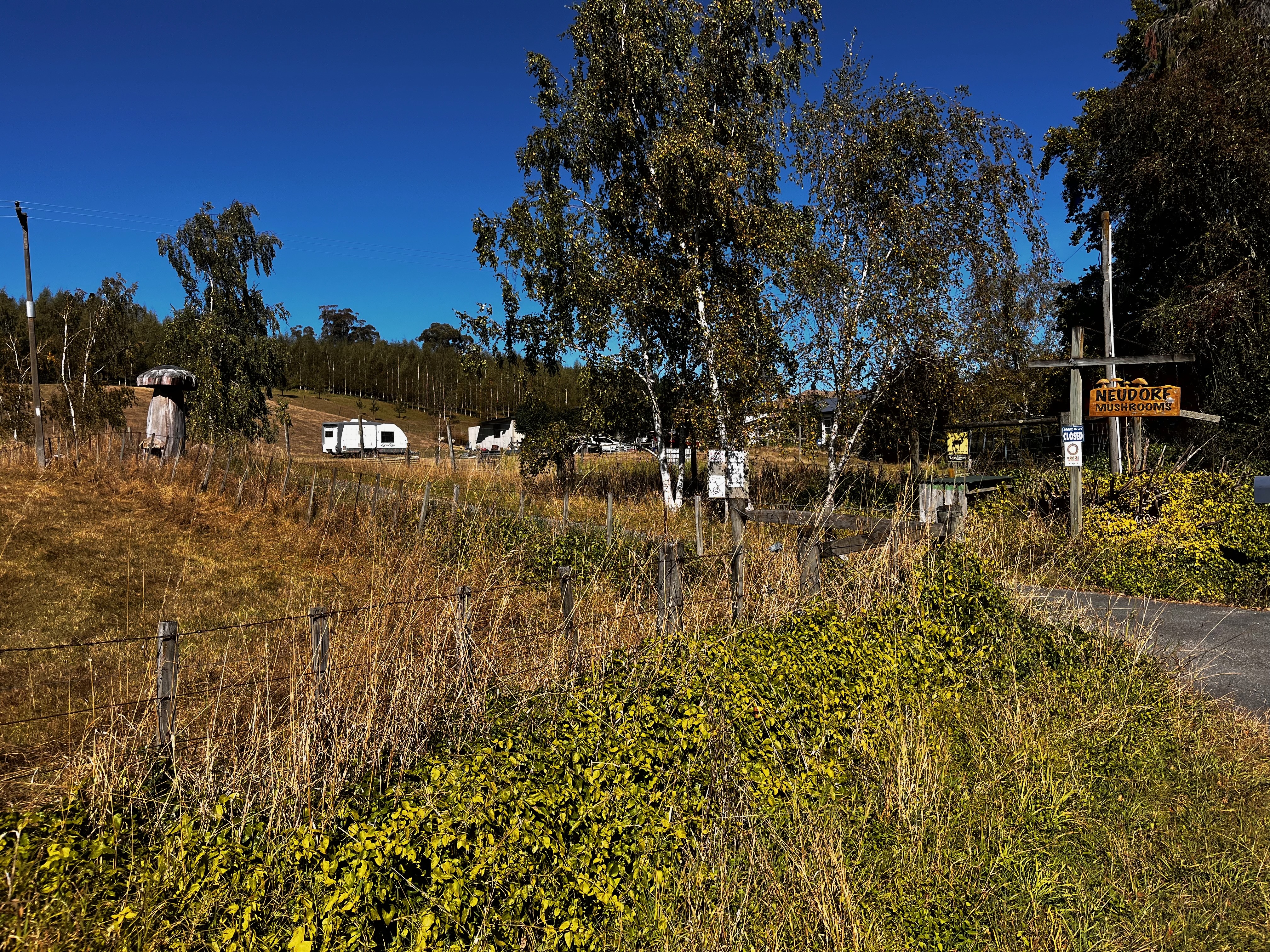 Stage 10 — Nelson To Murchison