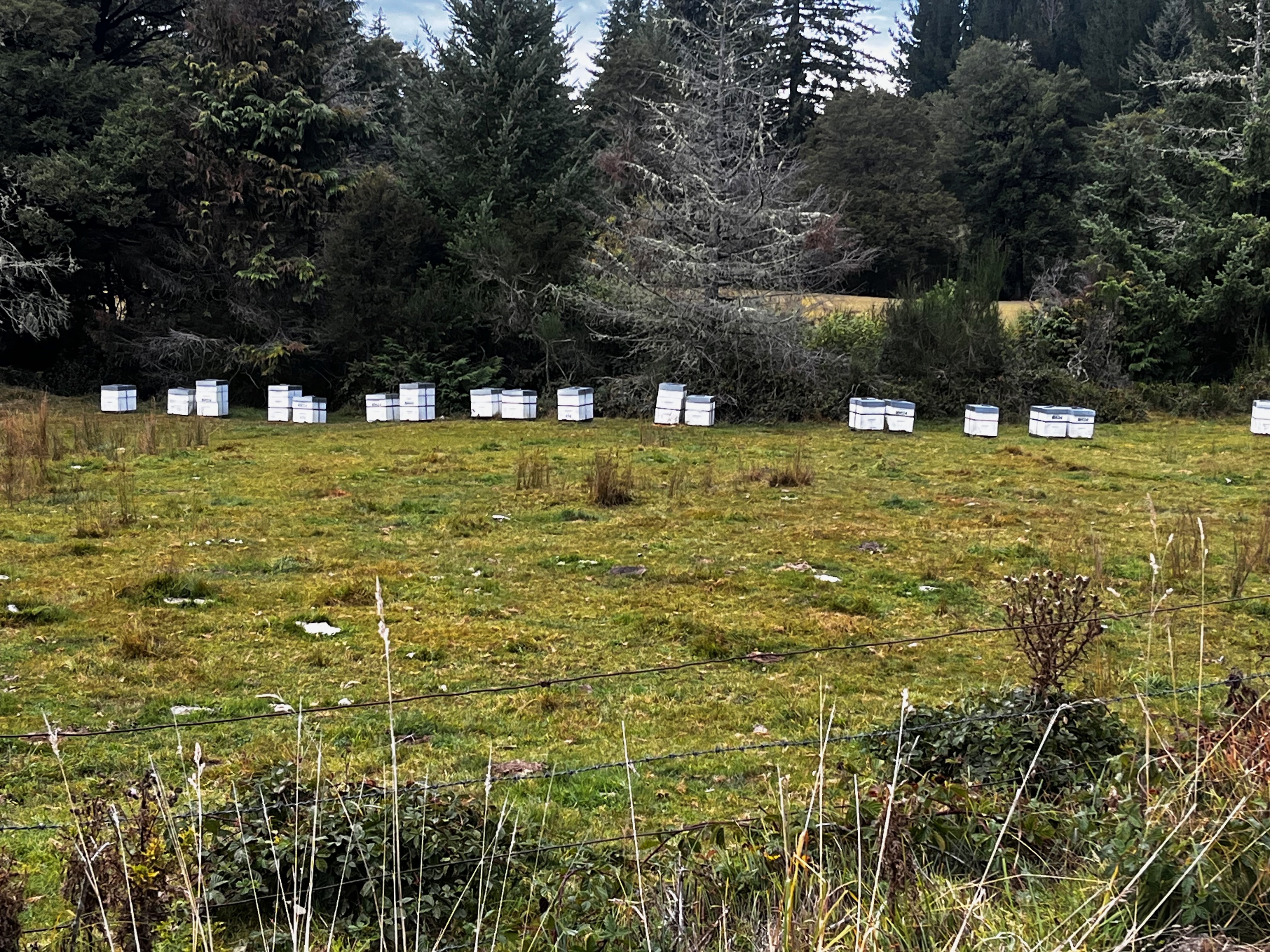 Stage 10 — Nelson To Murchison