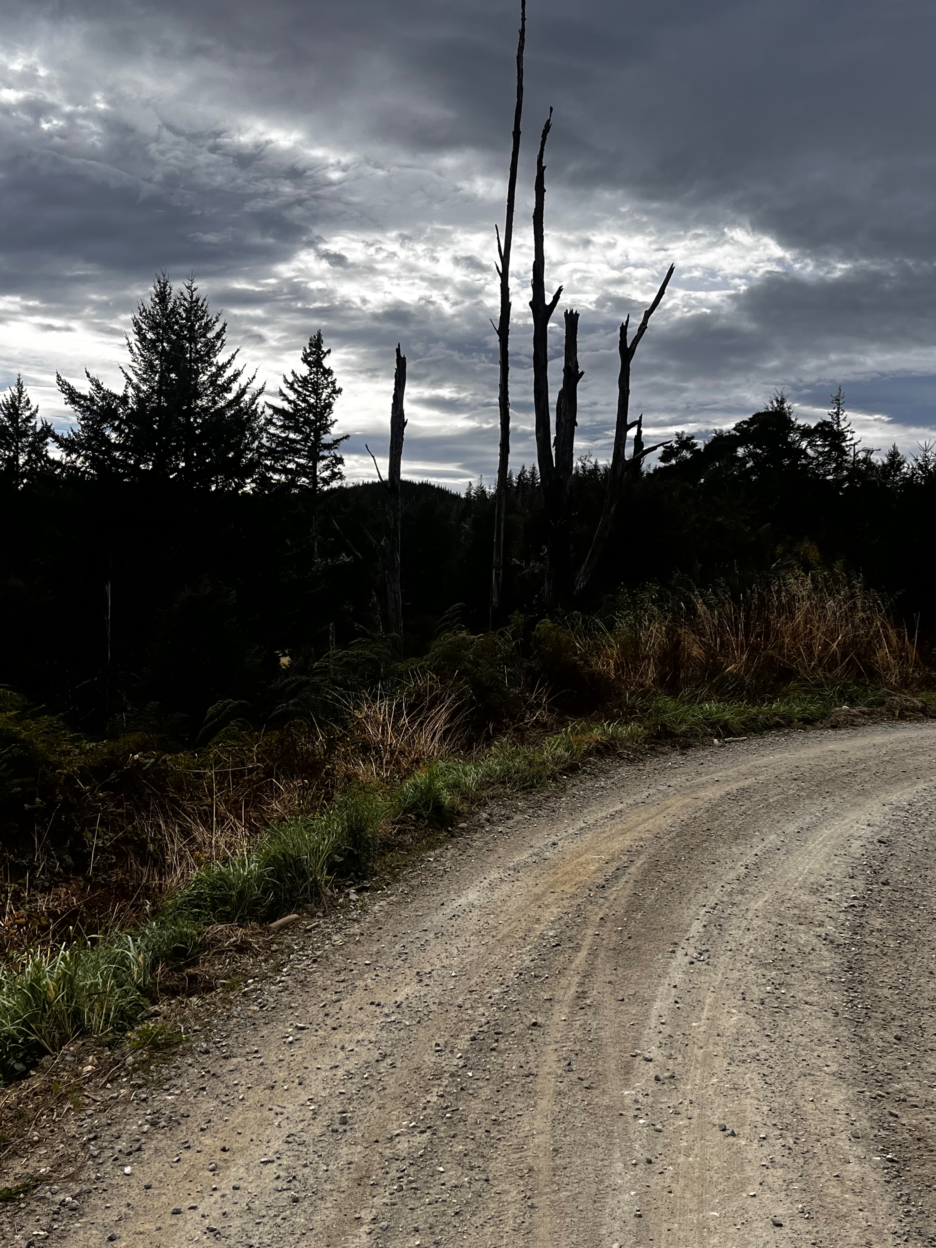 Stage 10 — Nelson To Murchison