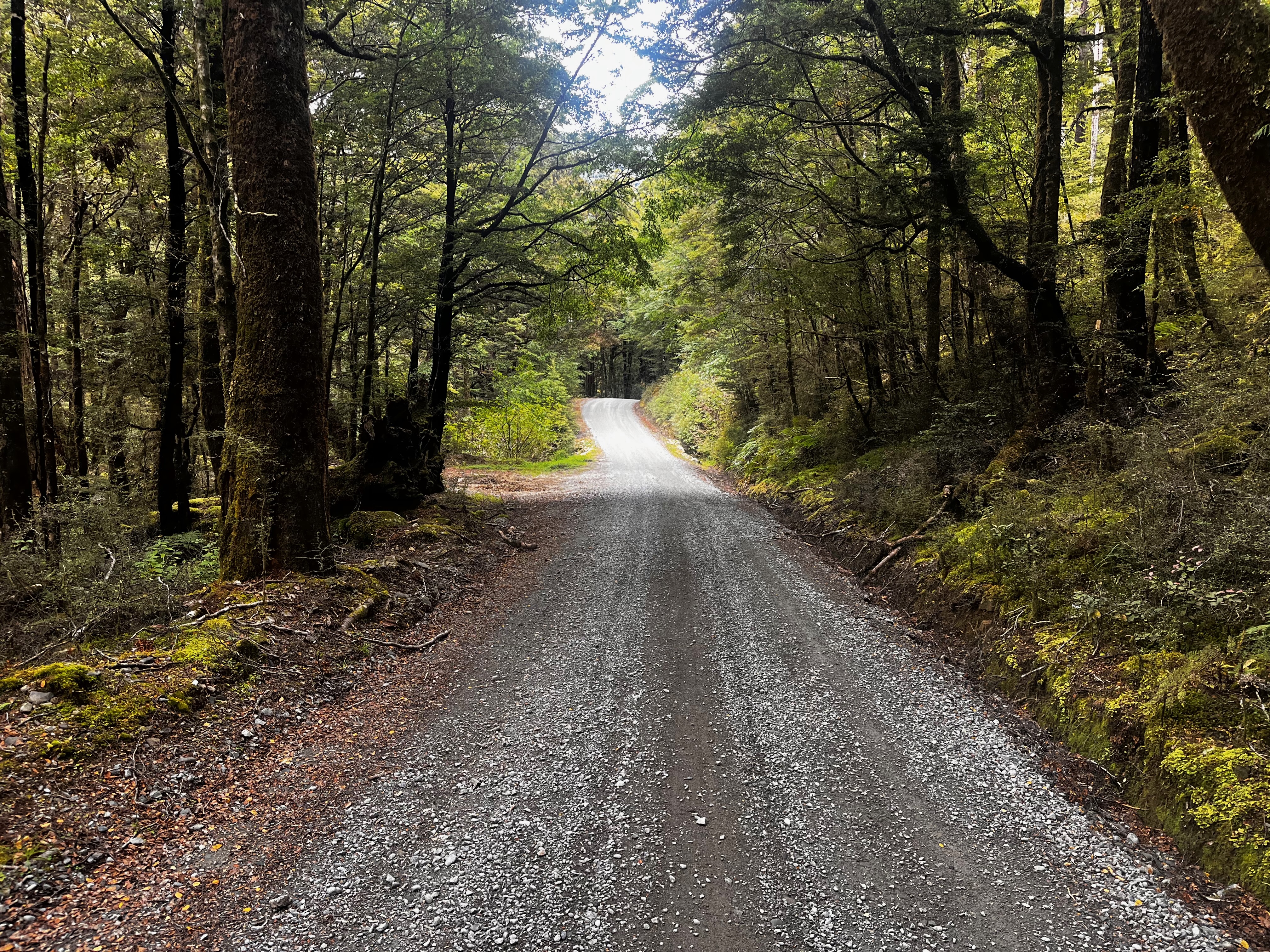 Stage 10 — Nelson To Murchison