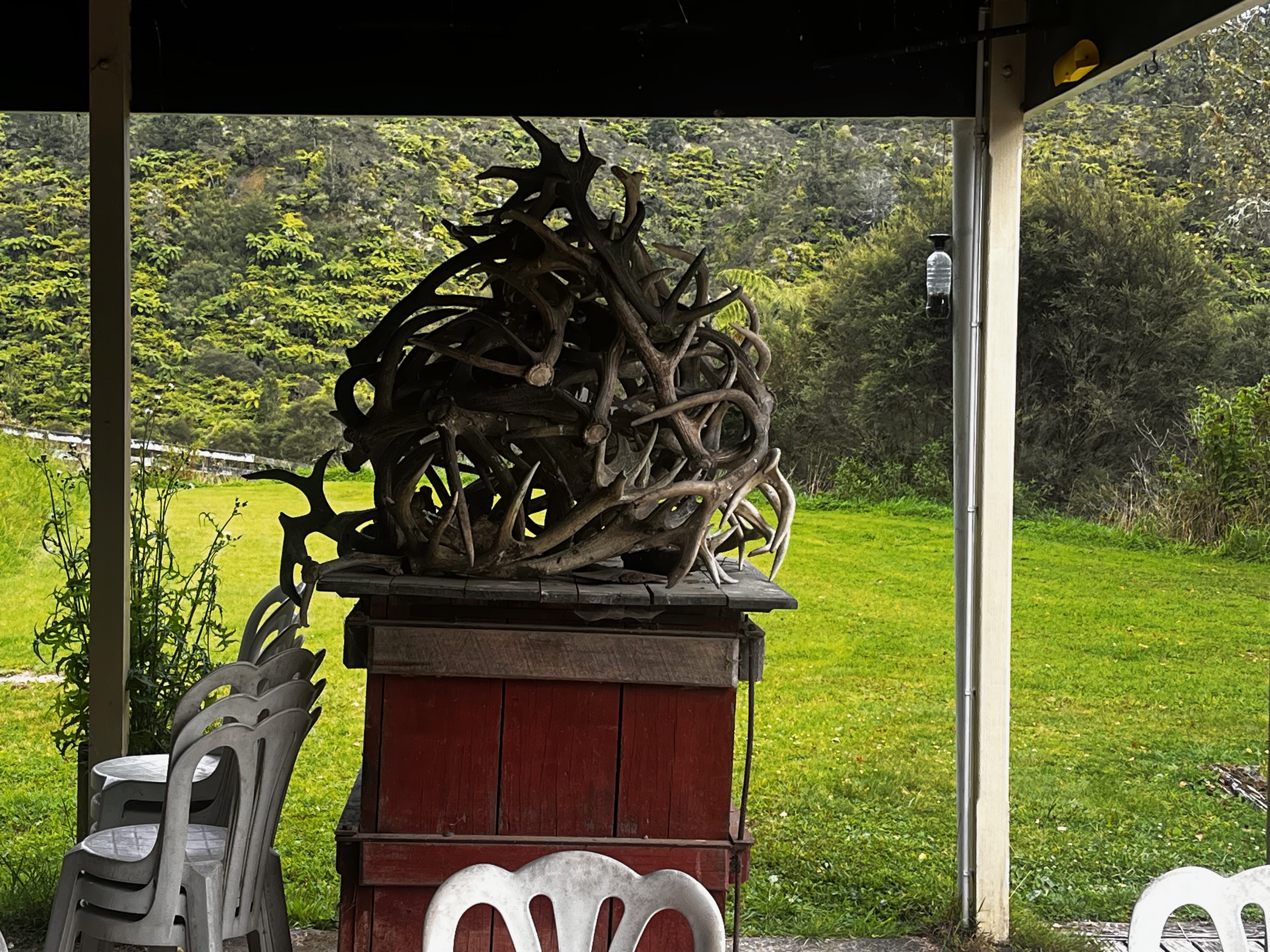 Stage 6 — Owhango To Hunterville
