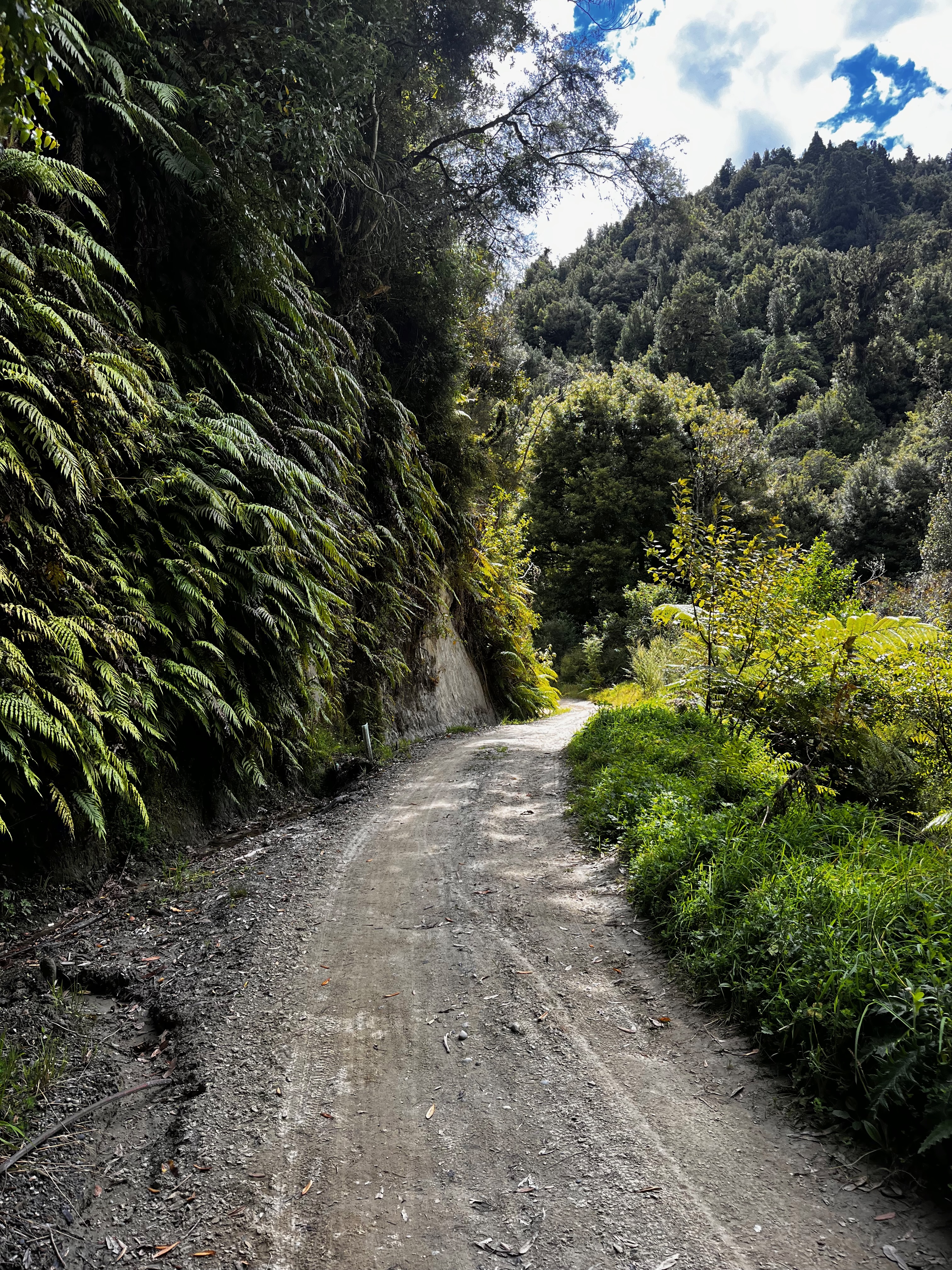 Stage 6 — Owhango To Hunterville