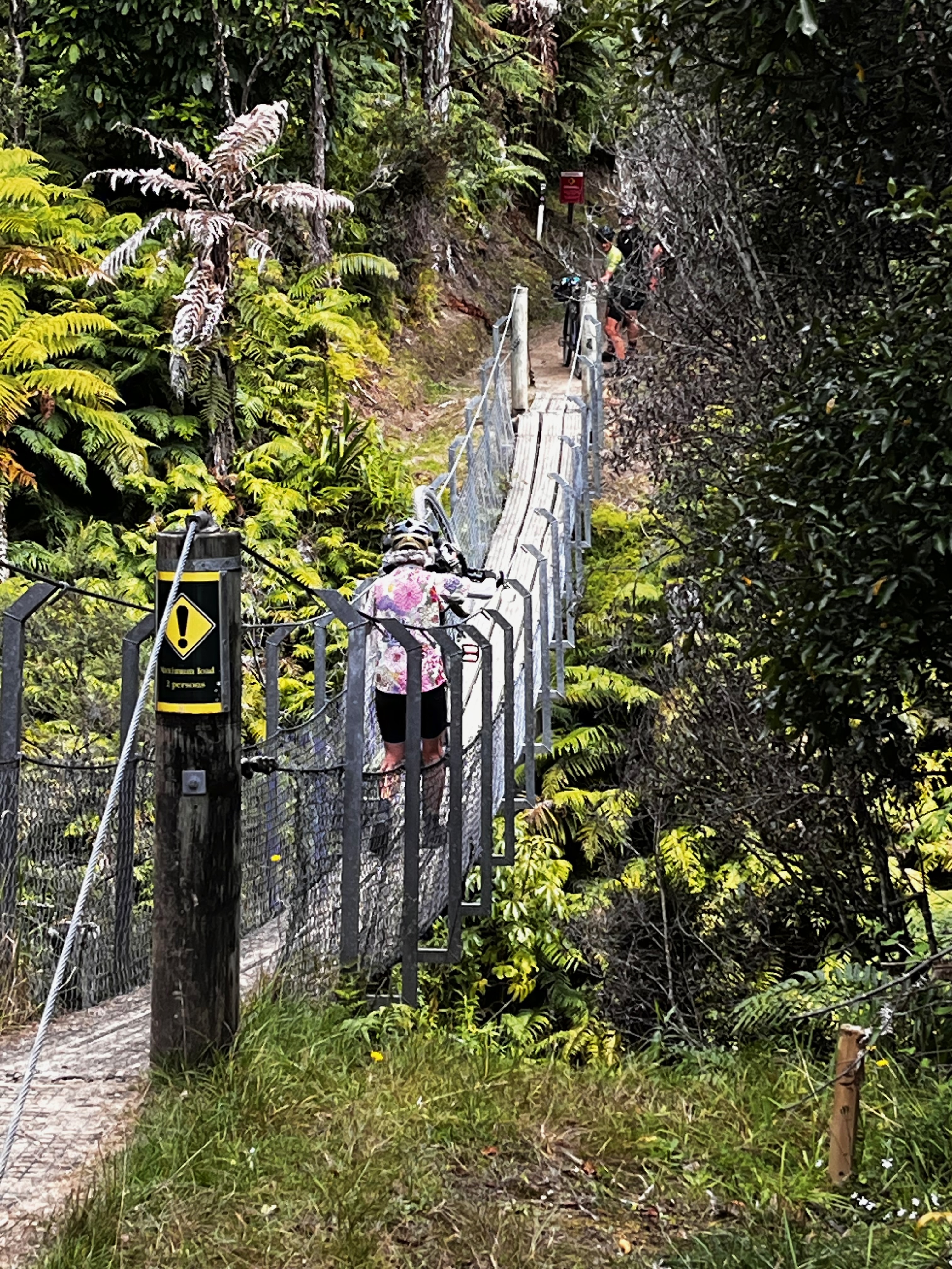 Stage 6 — Owhango To Hunterville