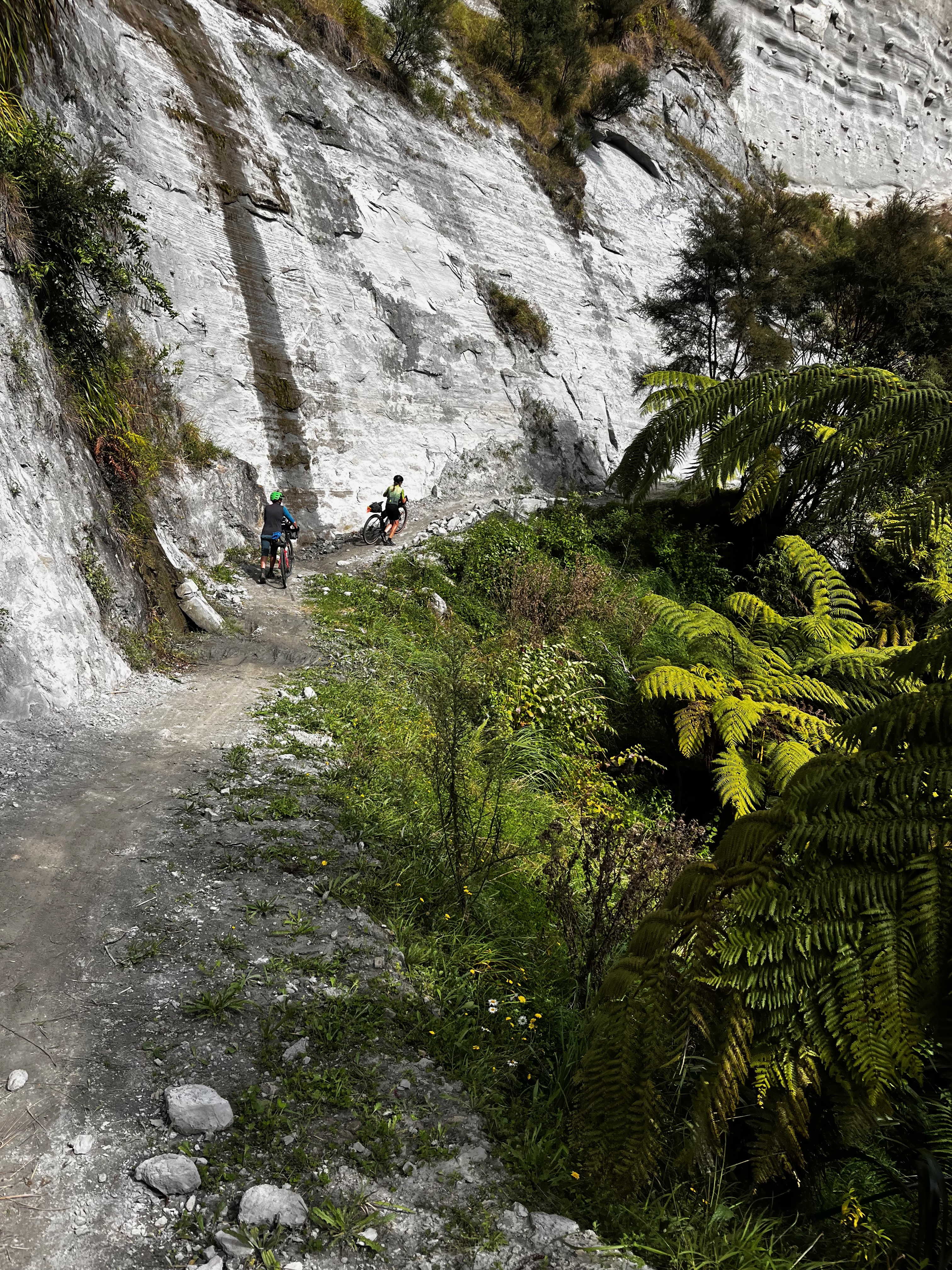 Stage 6 — Owhango To Hunterville