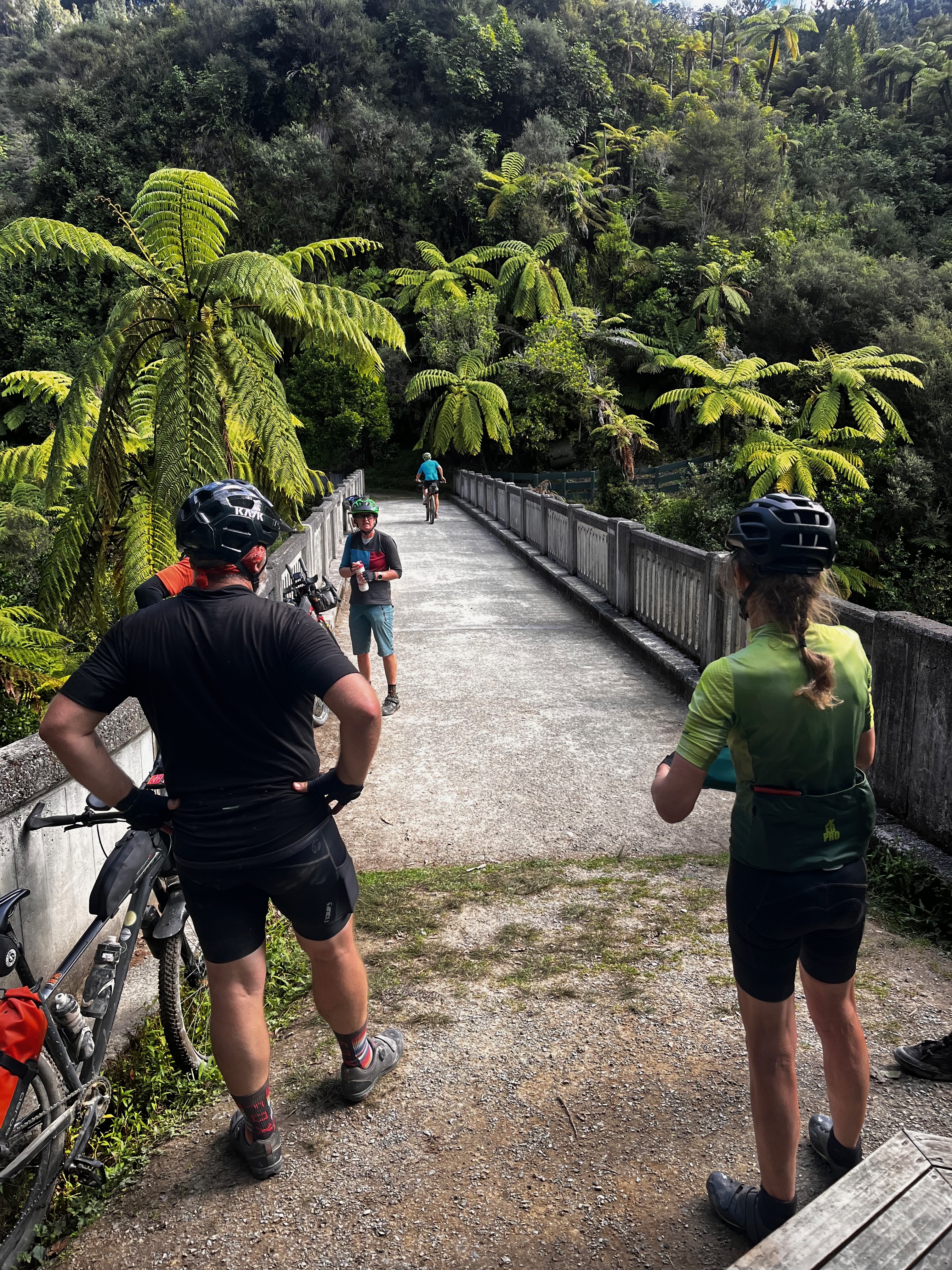 Stage 6 — Owhango To Hunterville