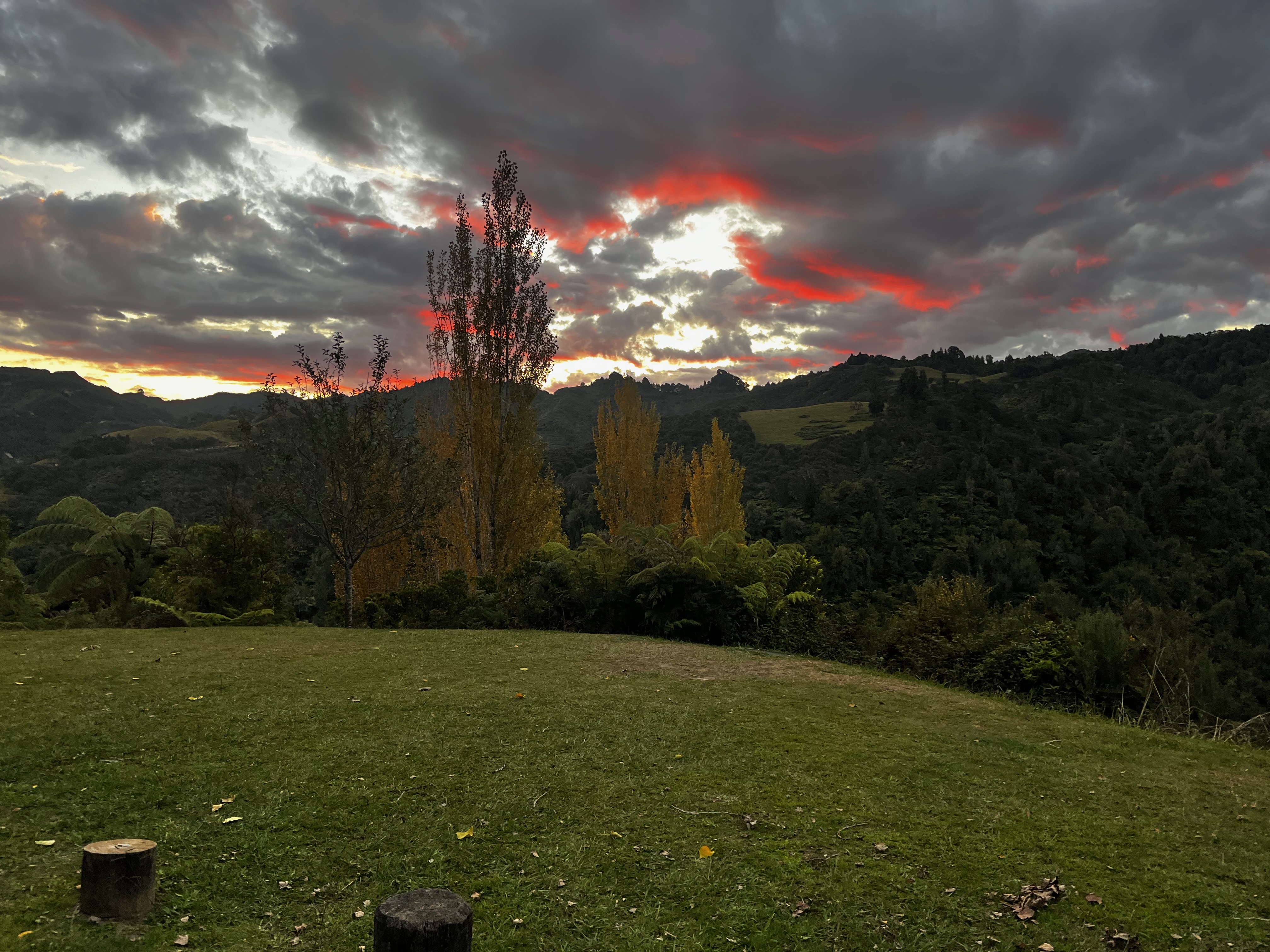 Stage 6 — Owhango To Hunterville