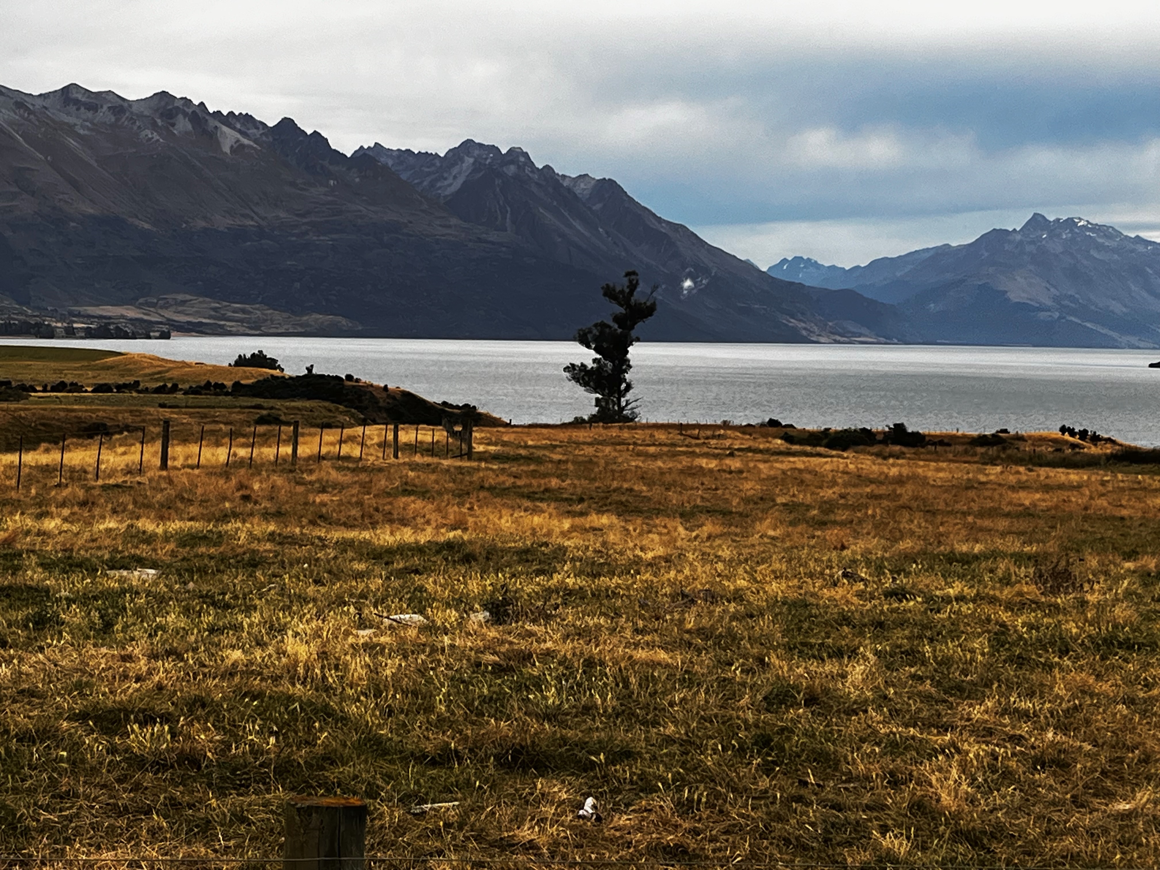 Stage 16 — Queenstown To Mossburn