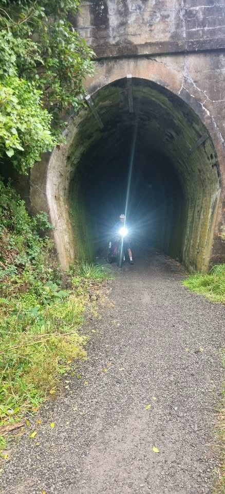 Stage 8 — Wellington To Havelock