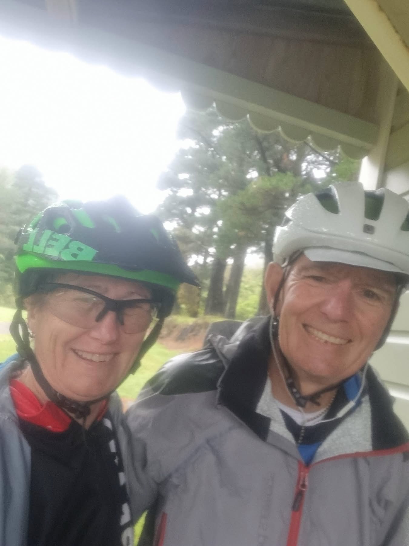 Stage 8 — Wellington To Havelock