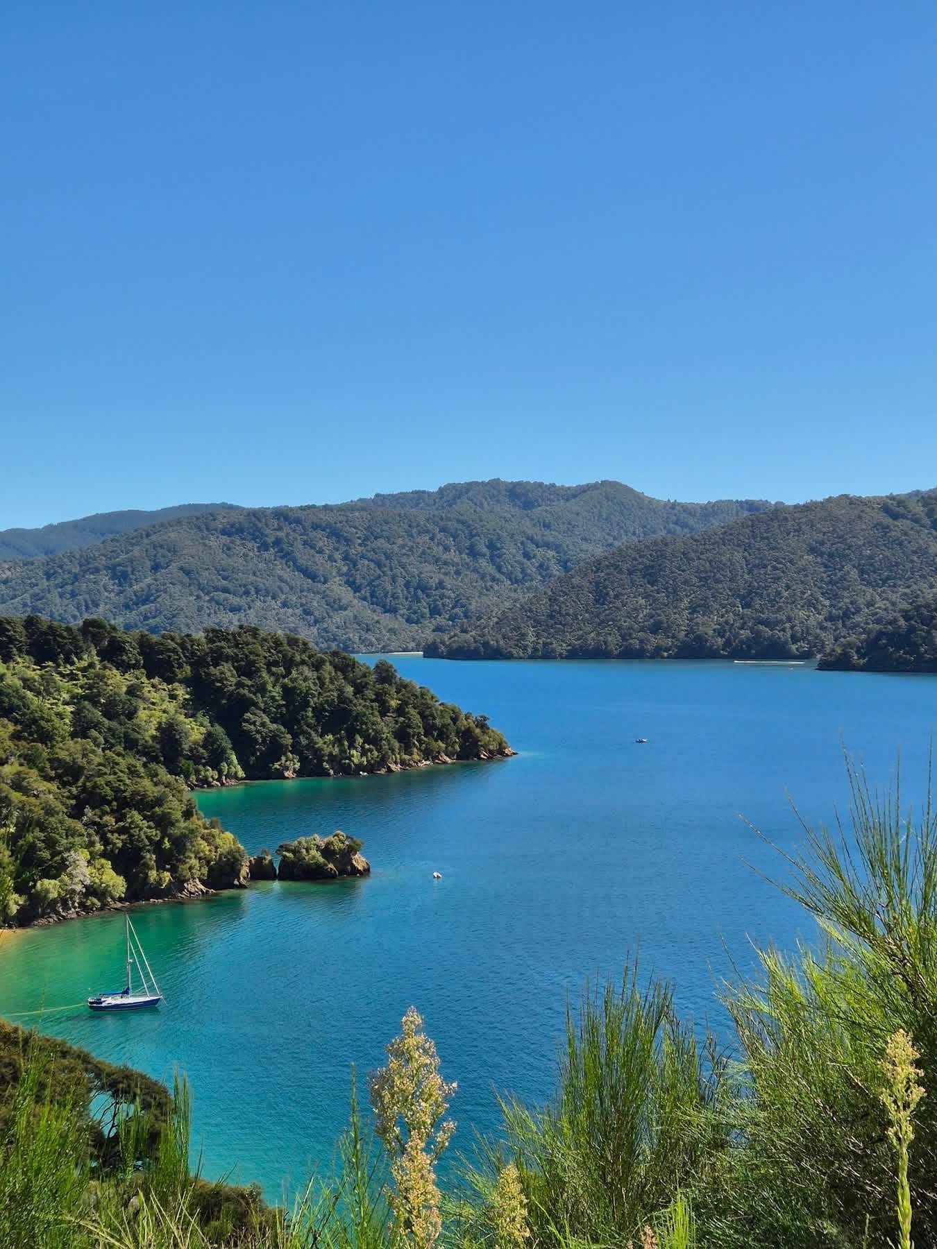 Stage 8 — Wellington To Havelock